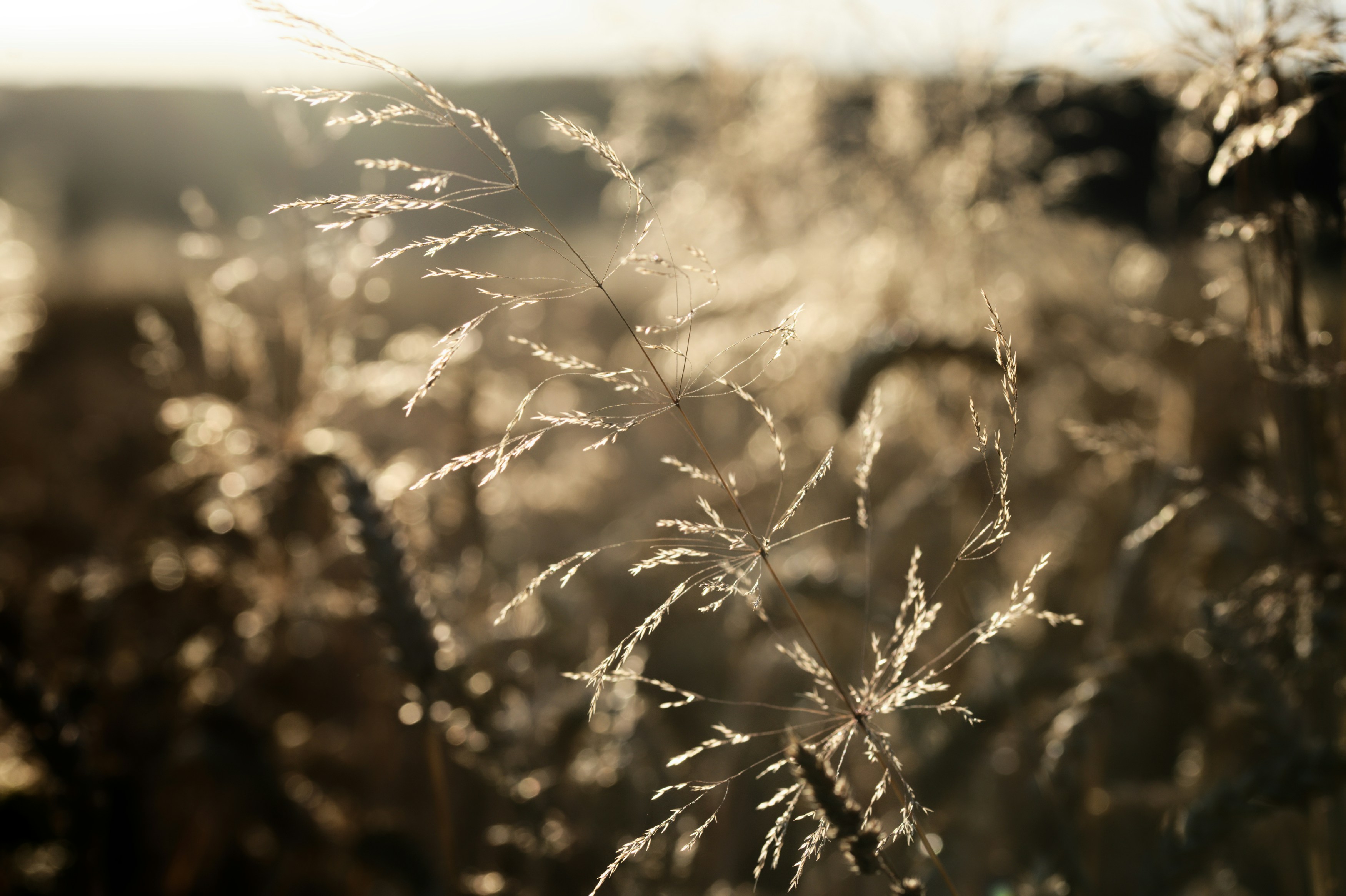 Photo by designbytholen