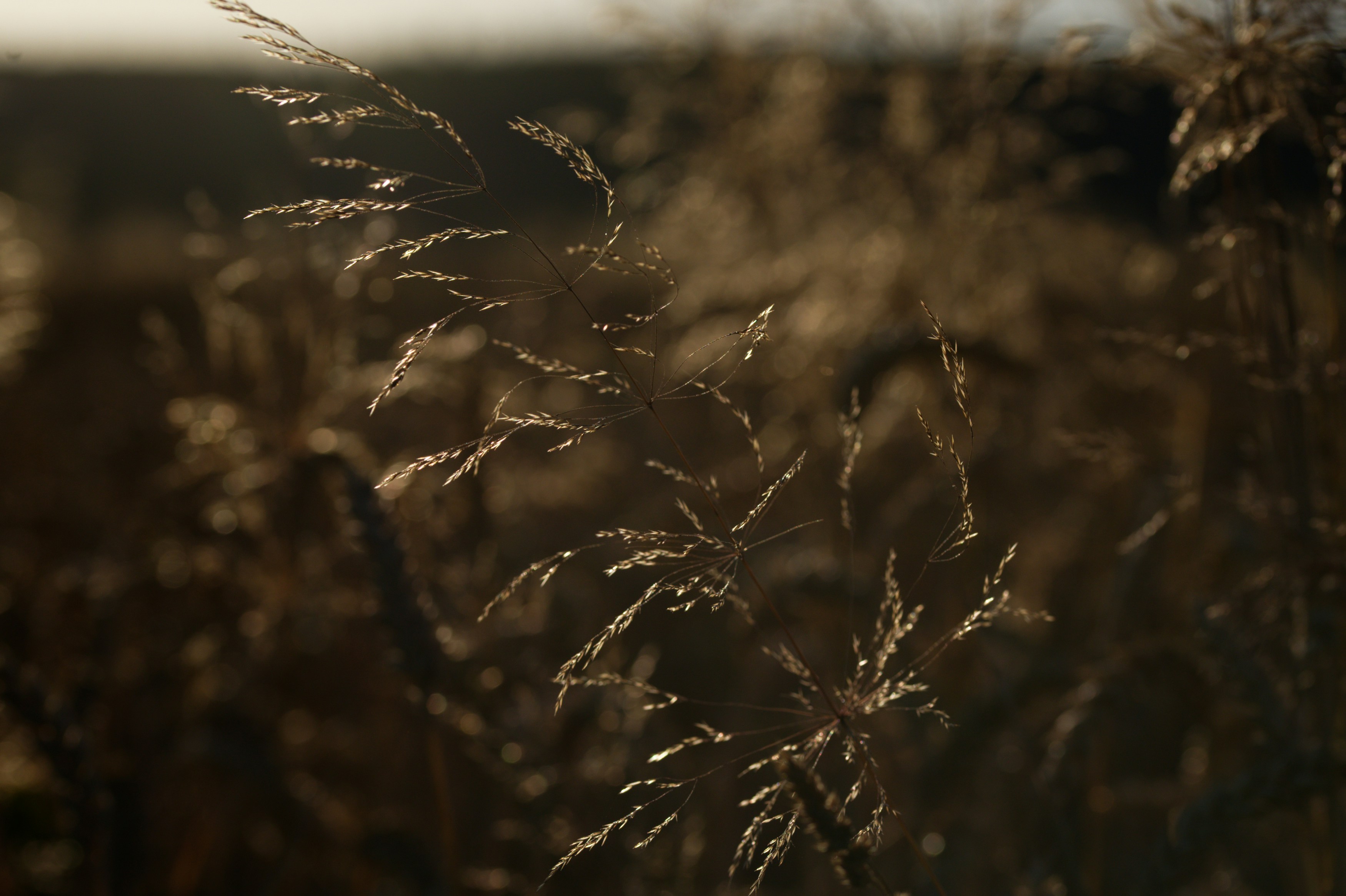 Photo by designbytholen