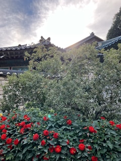 A freshly painted roof gleaming in the sunlight, surrounded by lush greenery.
