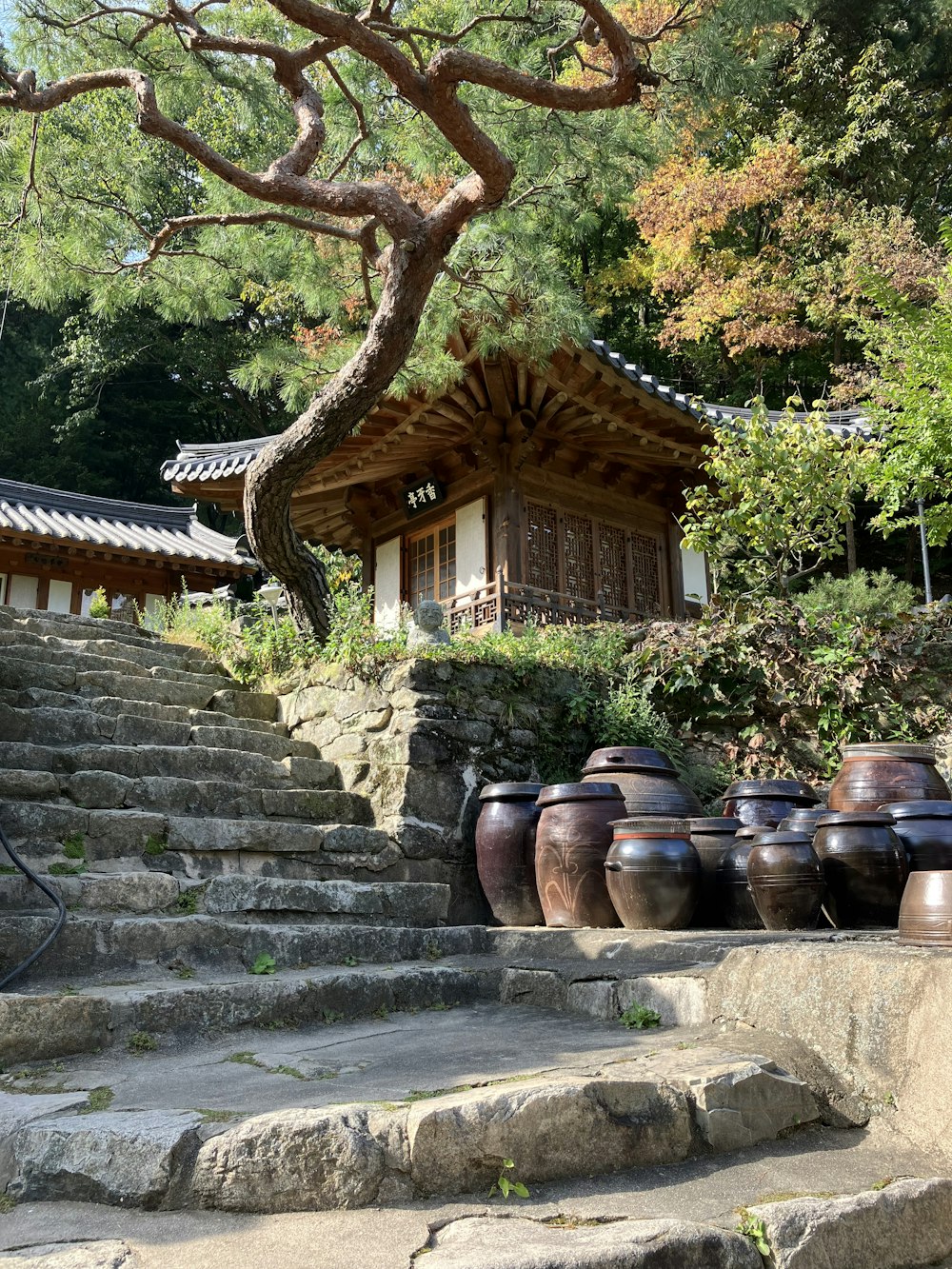 a house with a large tree in the front