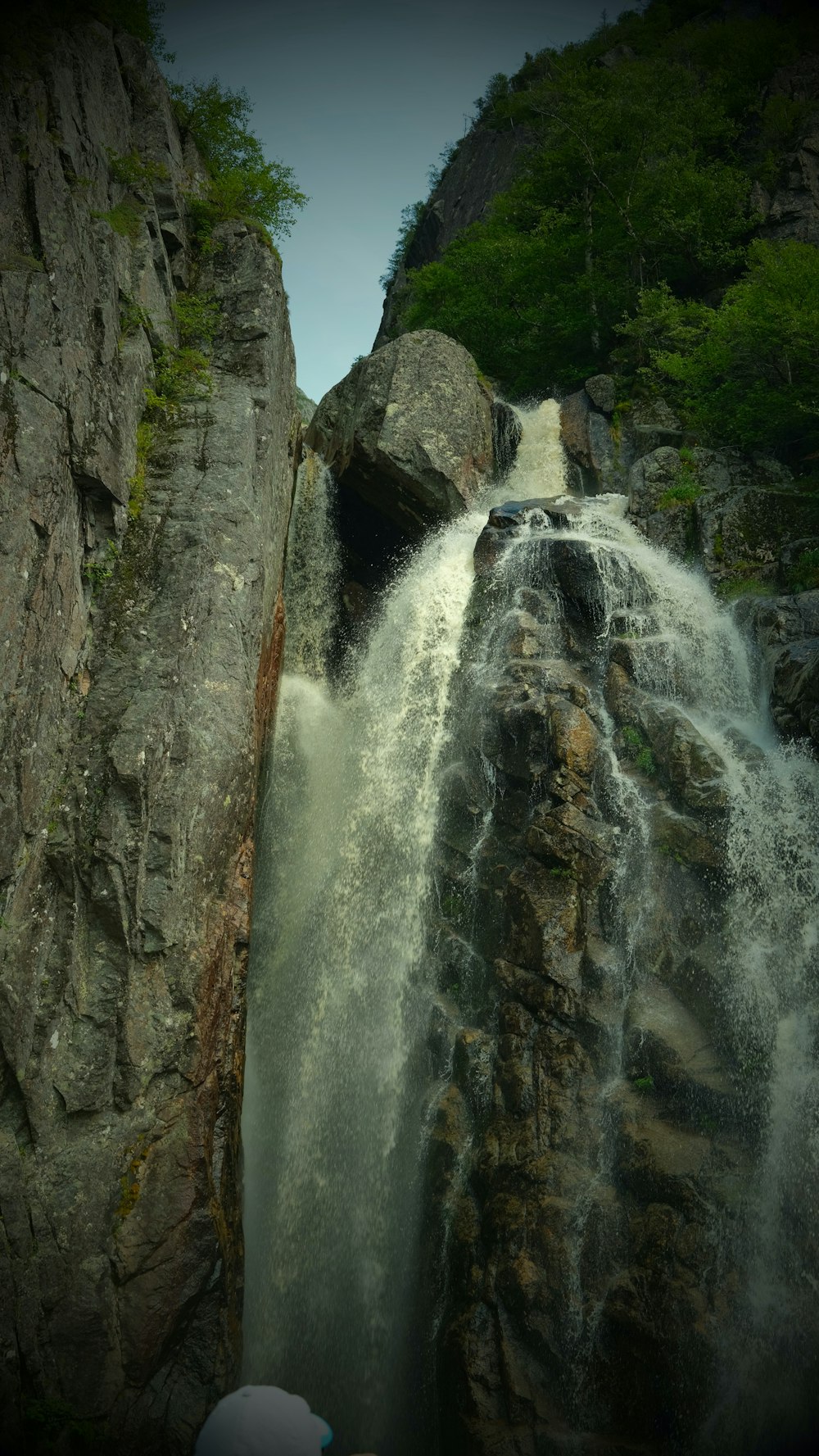 a waterfall with trees on the side