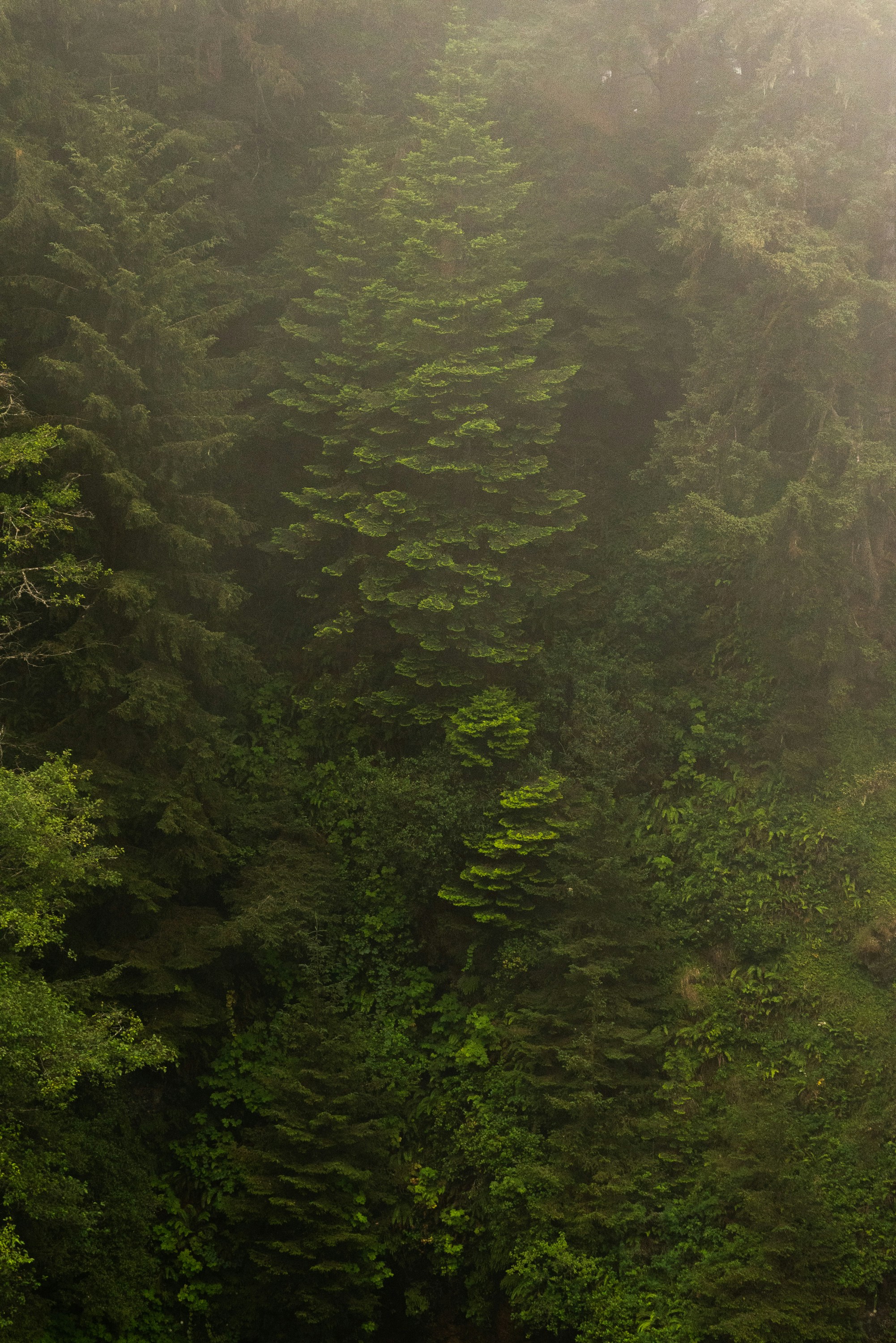 Photo by masonrfield