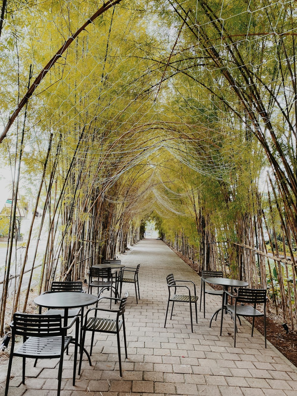 a brick walkway with tables and chairs