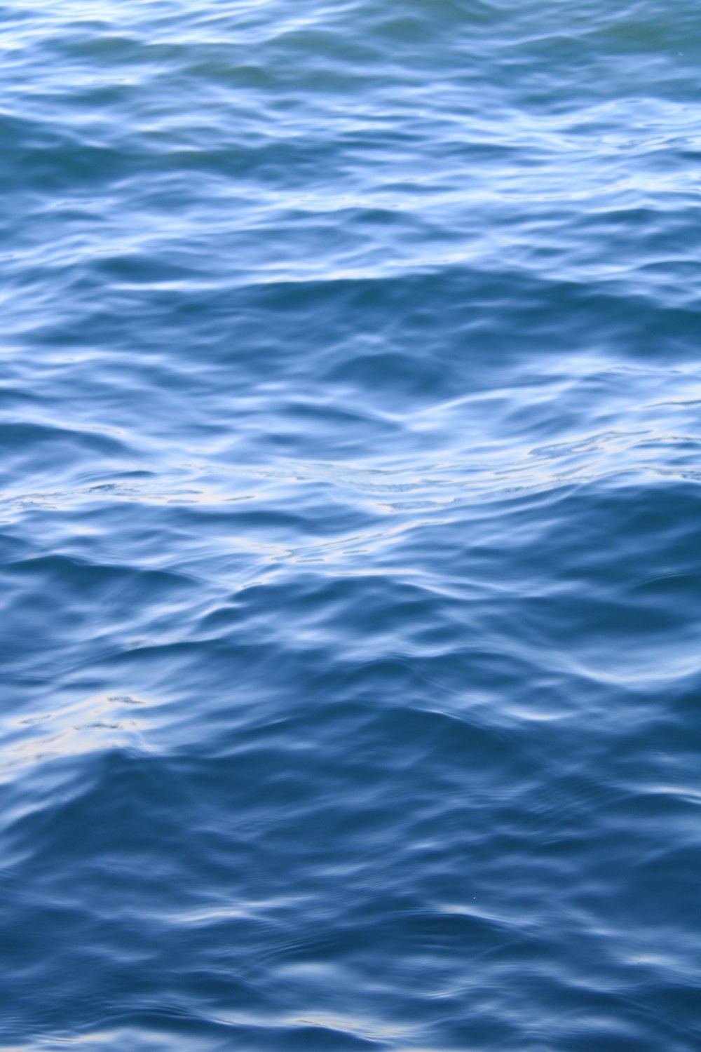 a body of water with ripples