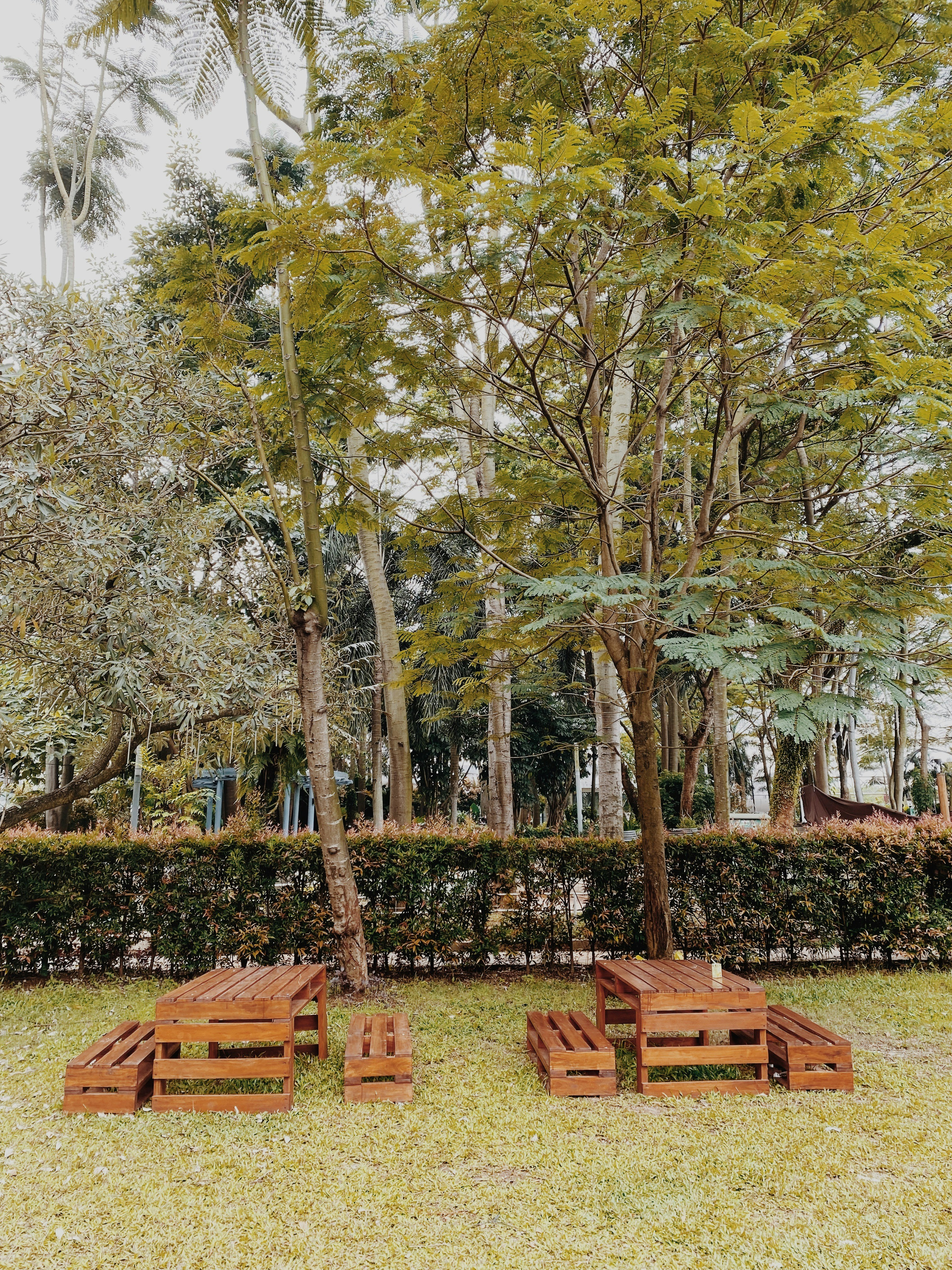 sekelompok bangku di taman