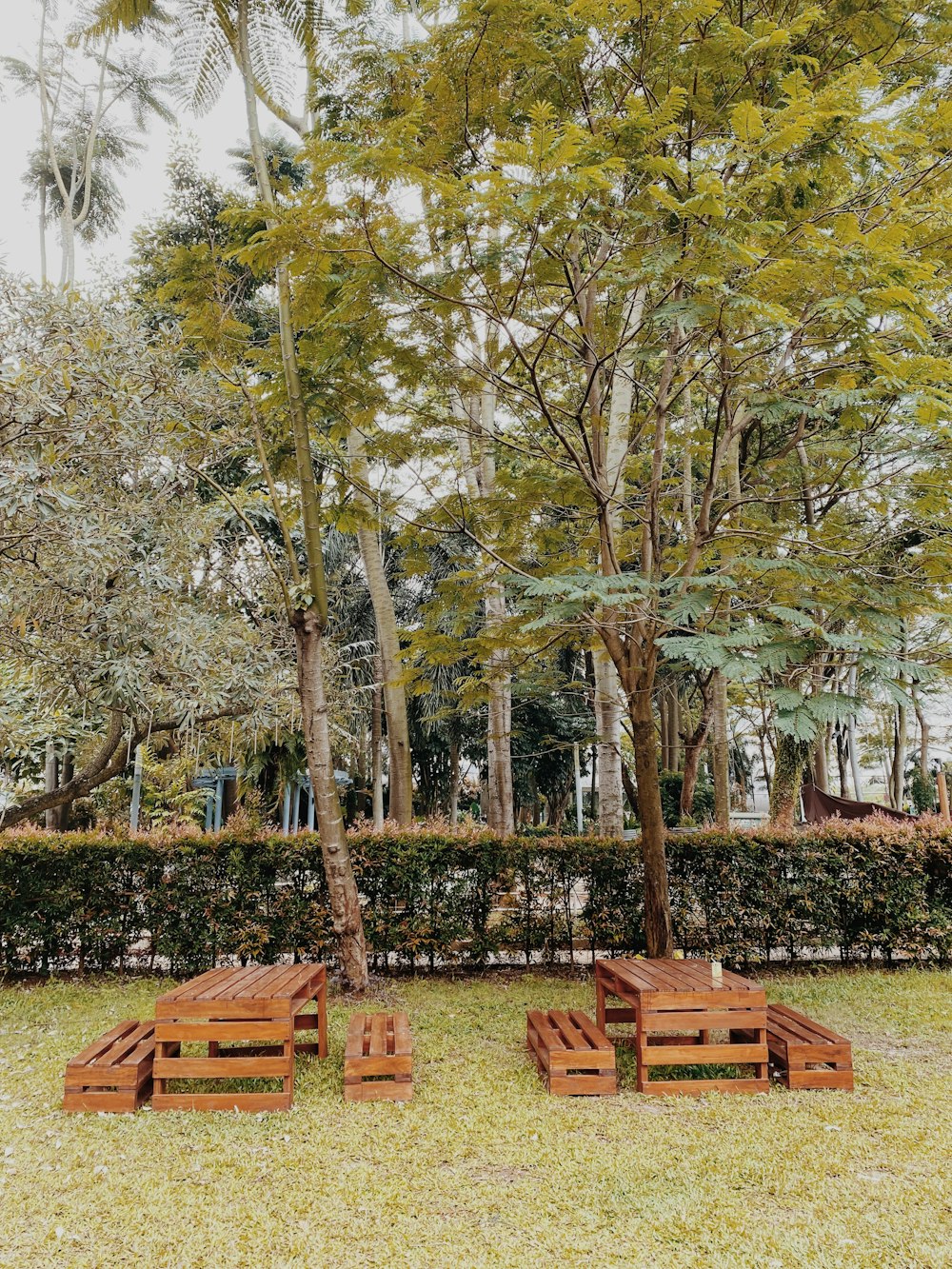 a group of benches in a park