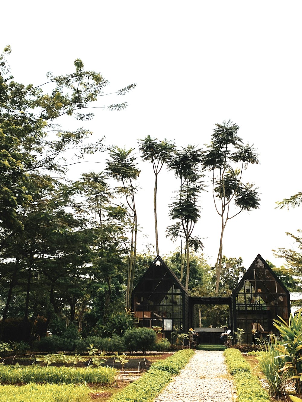 a house with trees around it