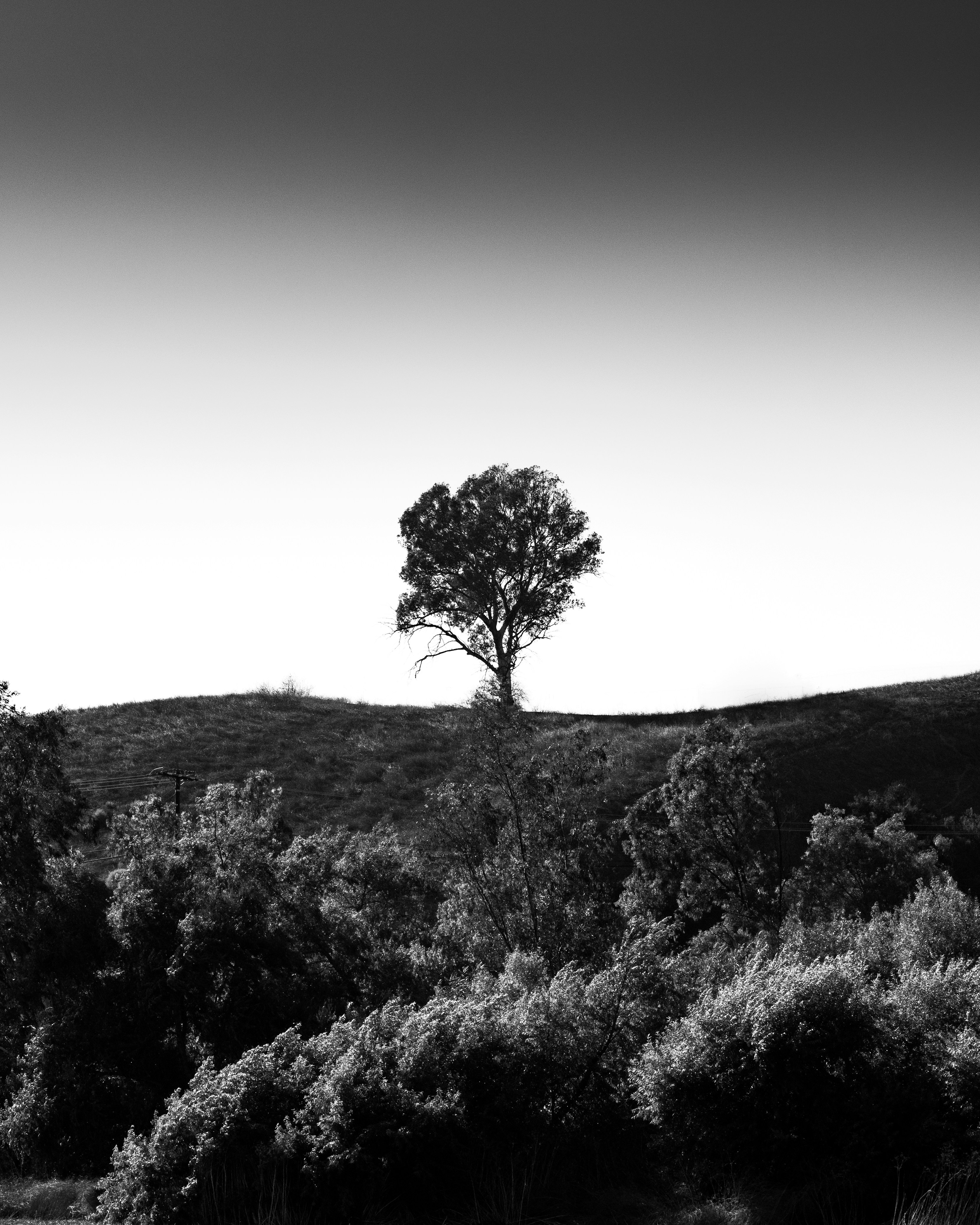 Photo by kingkonggeorge