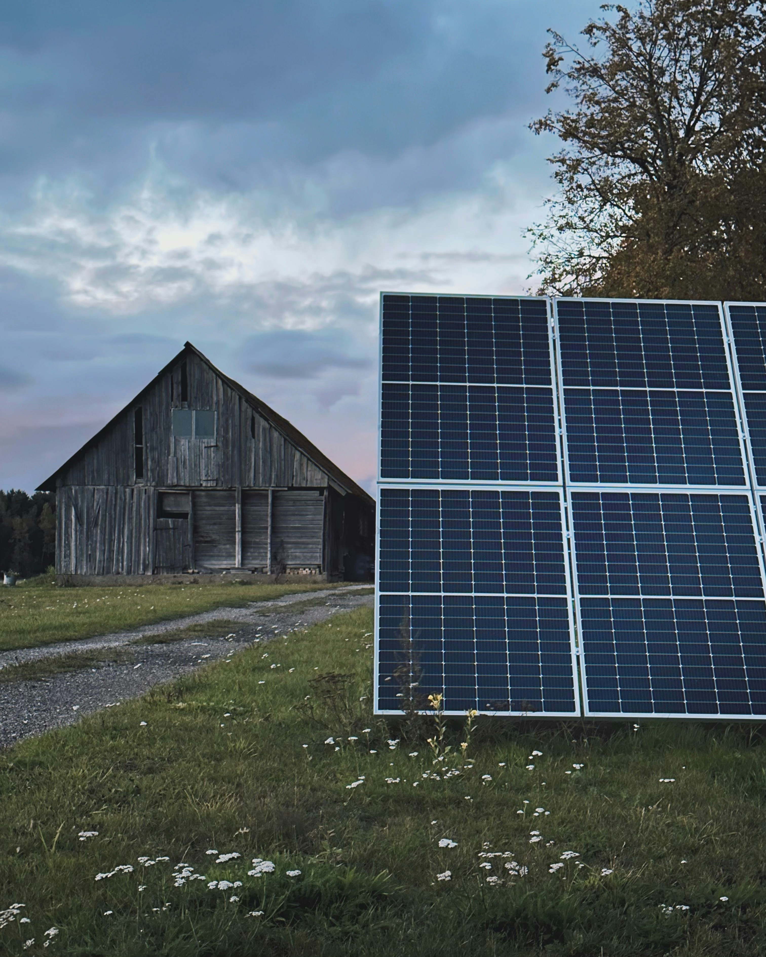 a couple of large greenhouses