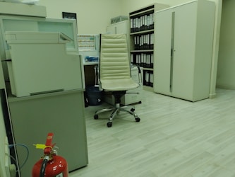 Efficient Office Organization Tips for the Modern Office Girl