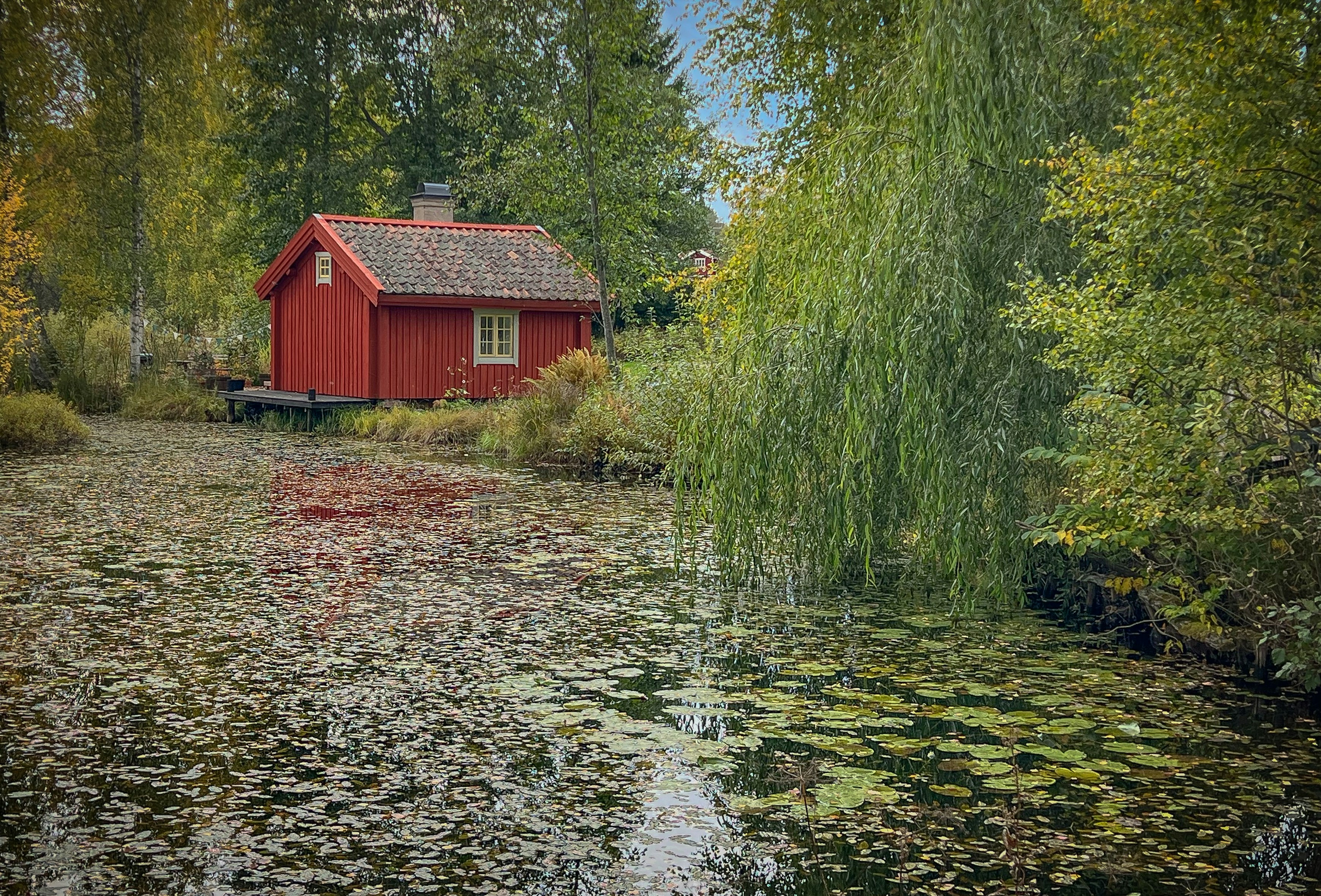 Svenskt landskap med sjö och skog