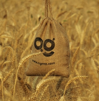 a bird with a face drawn on it in a field of wheat