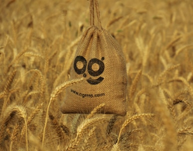 a bird with a face drawn on it in a field of wheat
