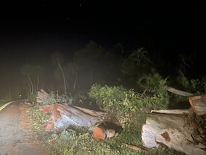 A team removing a fallen tree from a driveway after a storm at dusk.