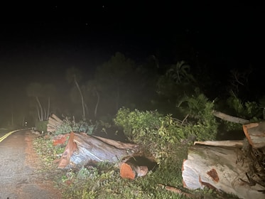 A team removing a fallen tree from a driveway after a storm at dusk.