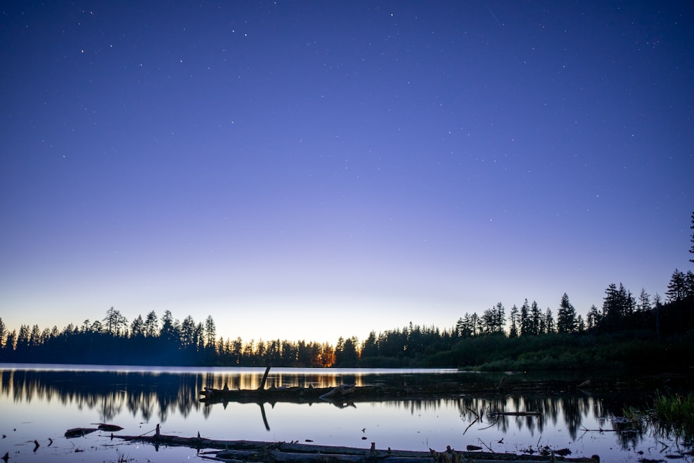 a lake with trees and a starry sky