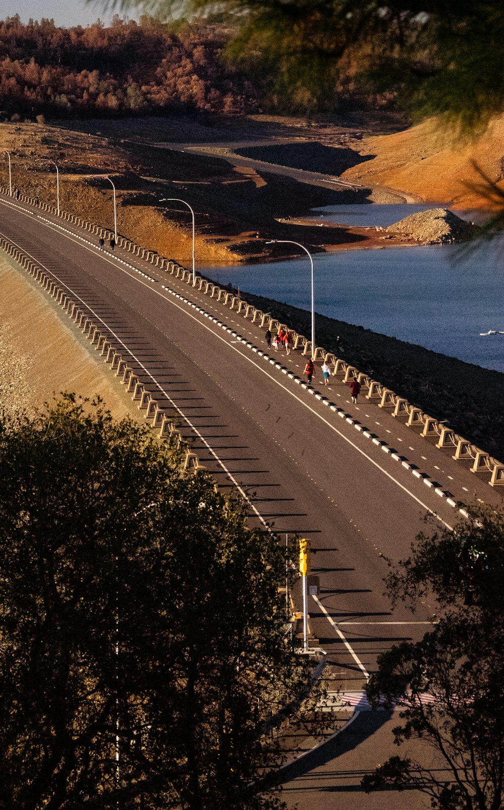 a road with a river and trees