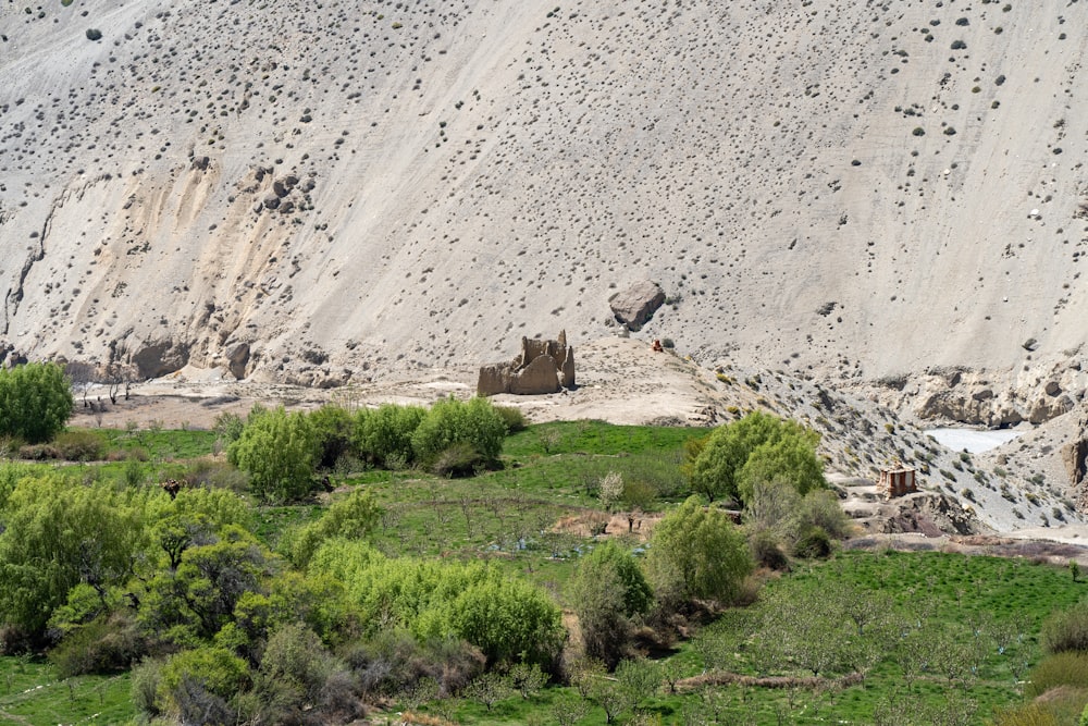 a rocky hillside with trees and bushes