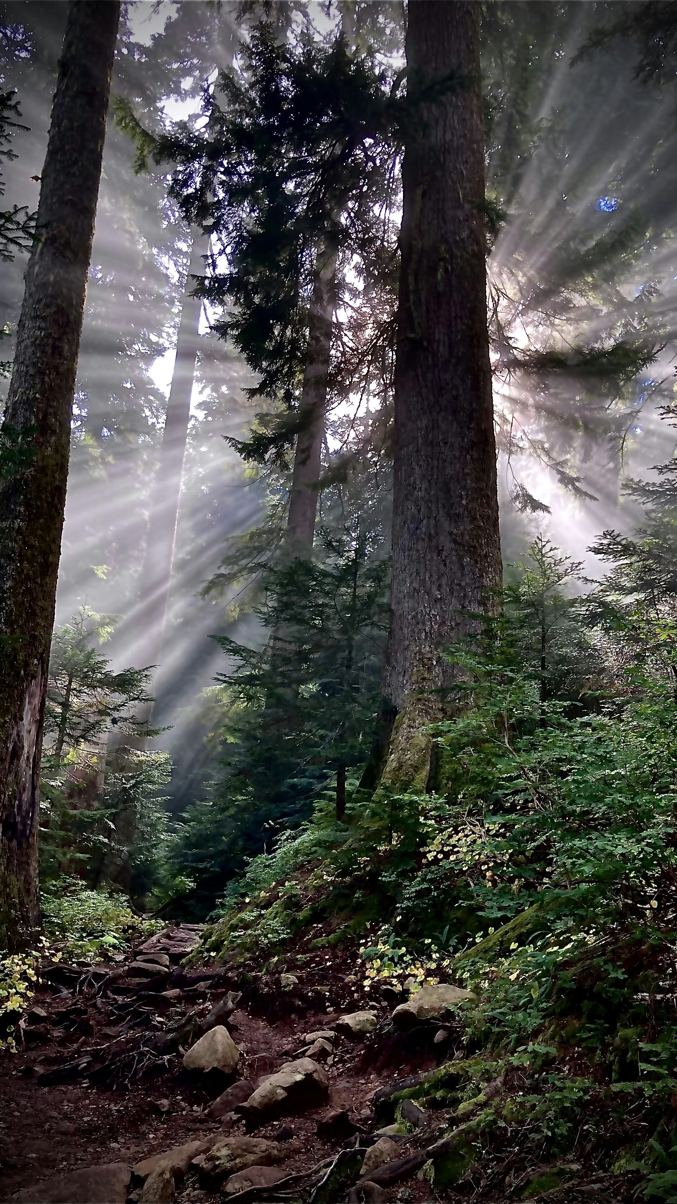 Photo by mireille_bond