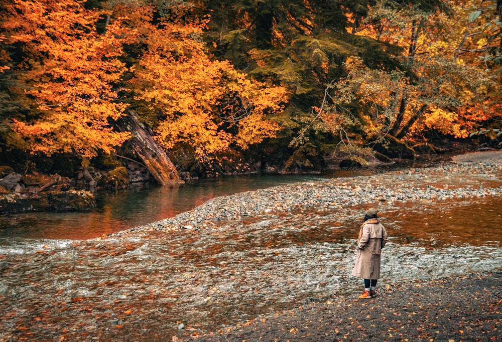 a person walking on a rocky path with trees on either side