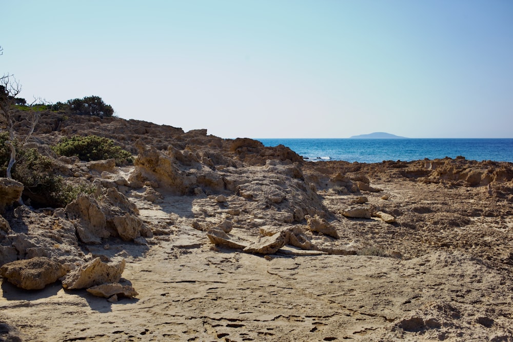 a rocky beach with a body of water in the background