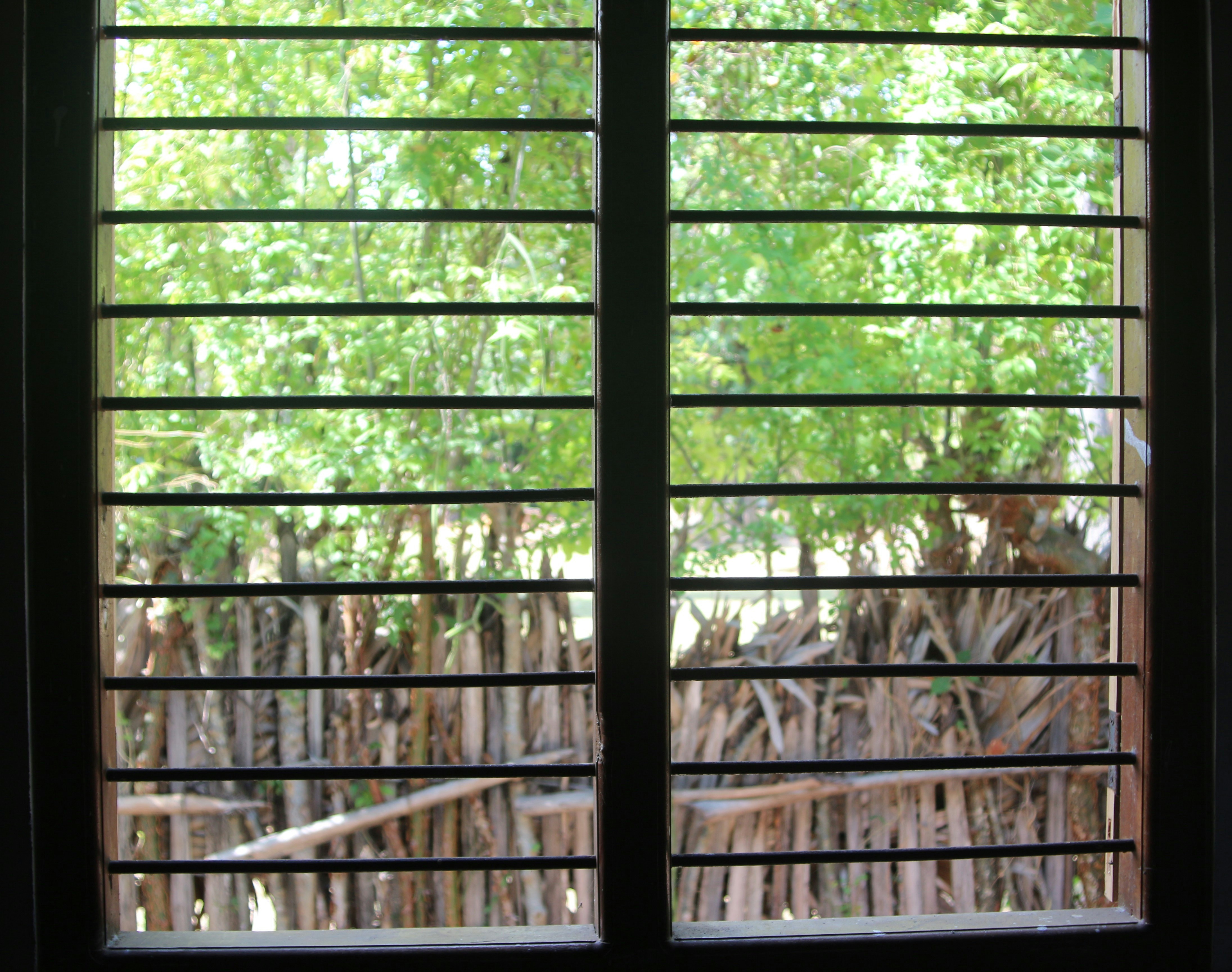 Photo by _picsby_ahal