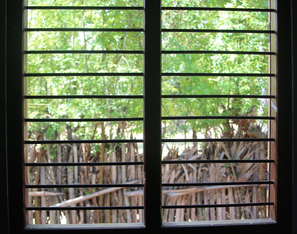 a cat sitting in a window