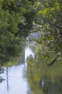 A tranquil scene of a calm body of water surrounded by lush green foliage. The water reflects the green and yellow hues of the trees, creating a harmonious blend of natural colors. Light filters through the dense leaves, adding depth and a soft glow to the image.