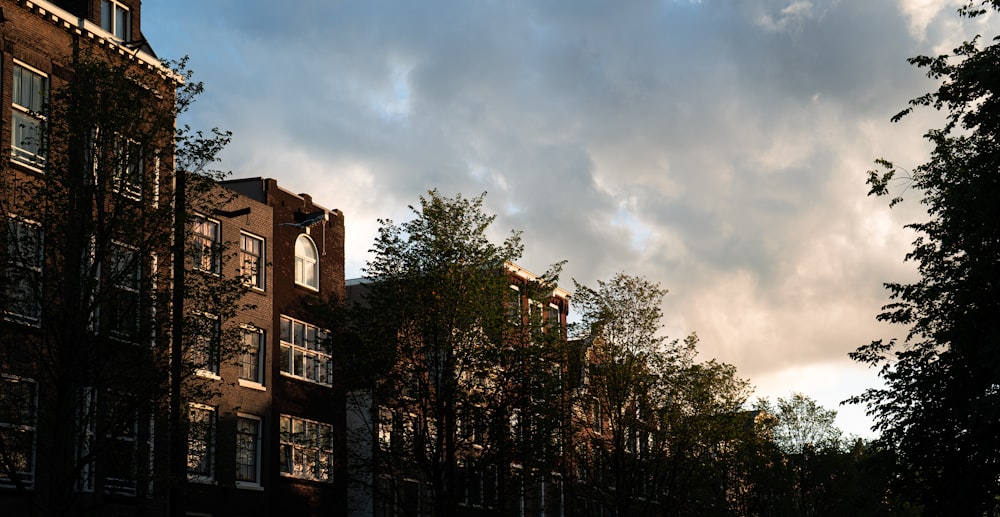 a group of trees and buildings