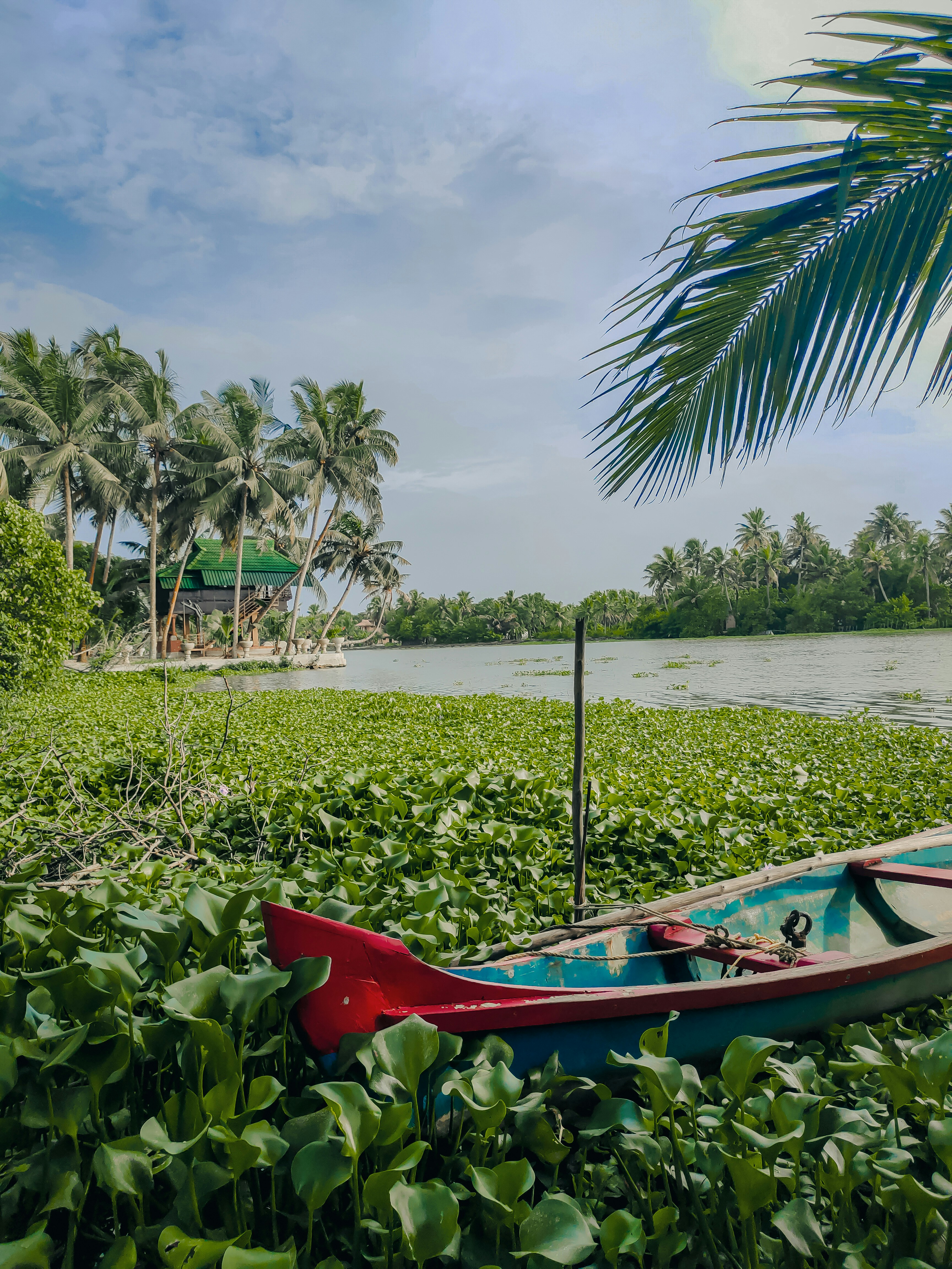 Photo by anandu_vinod