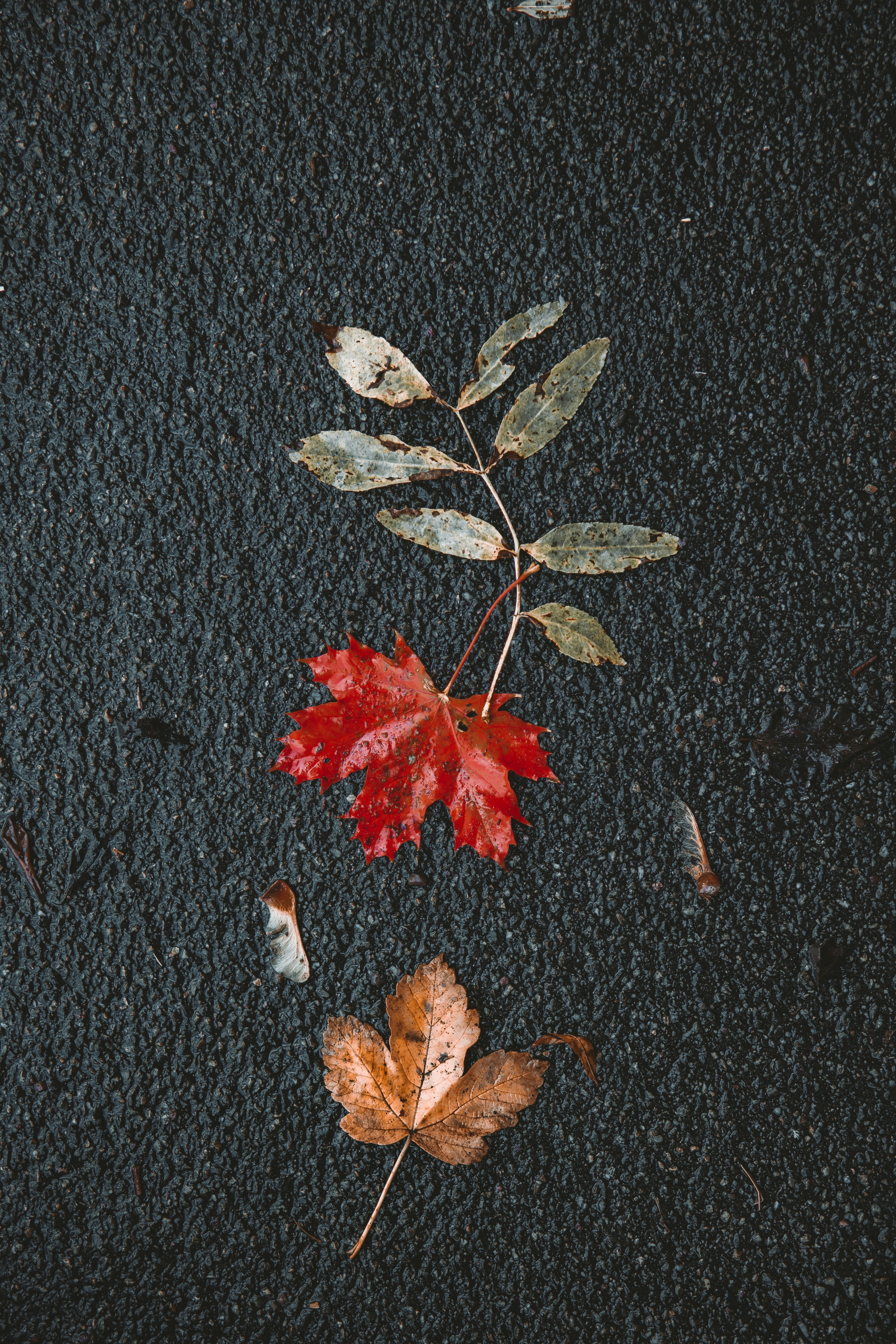 Photo by withabdu