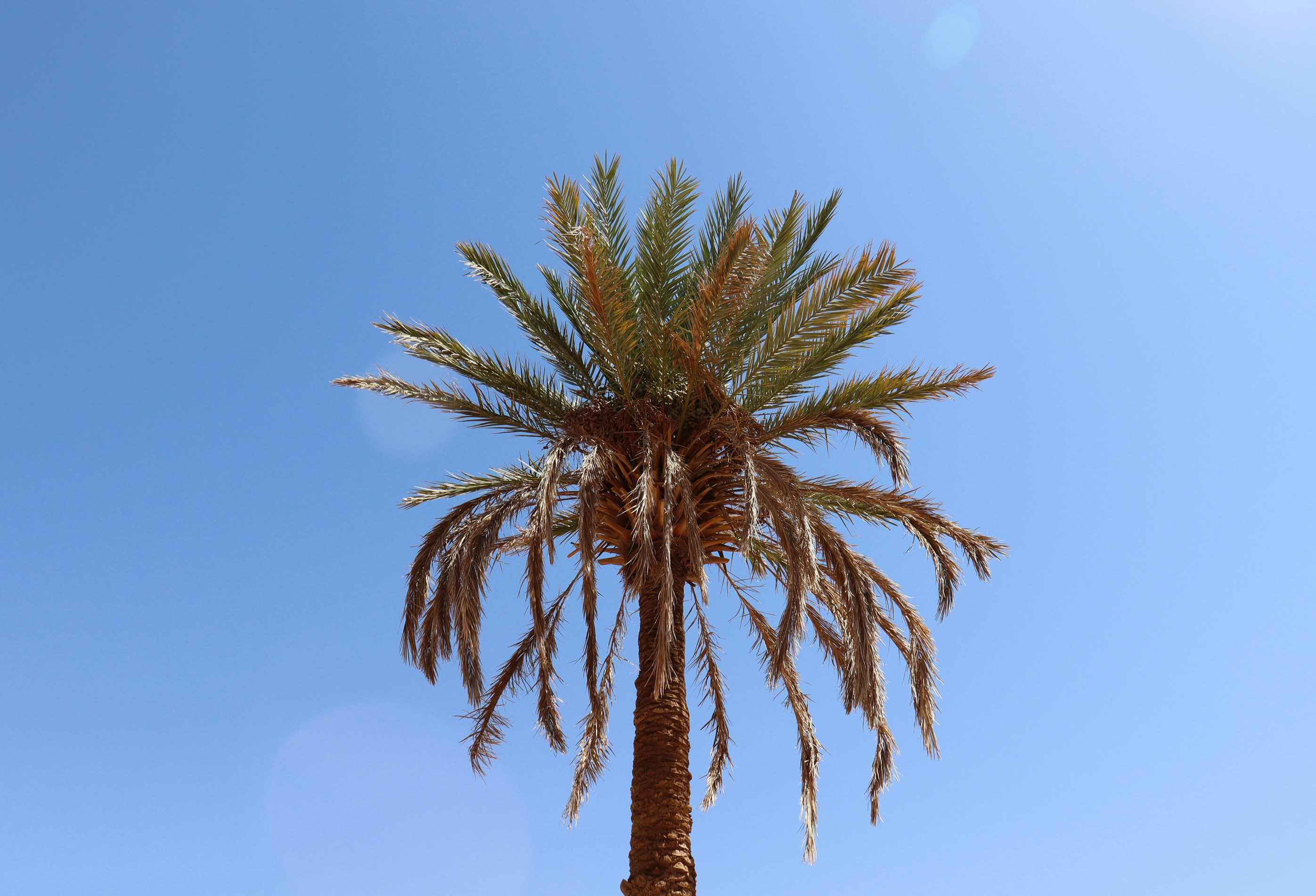 Photo by hamidreza_rhz