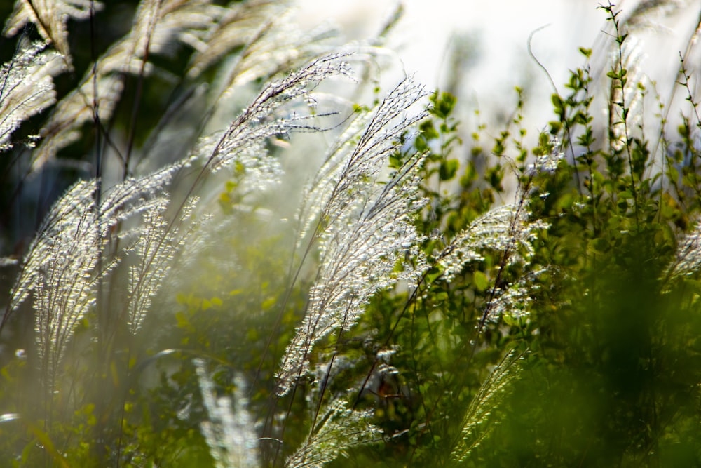 a close up of a web