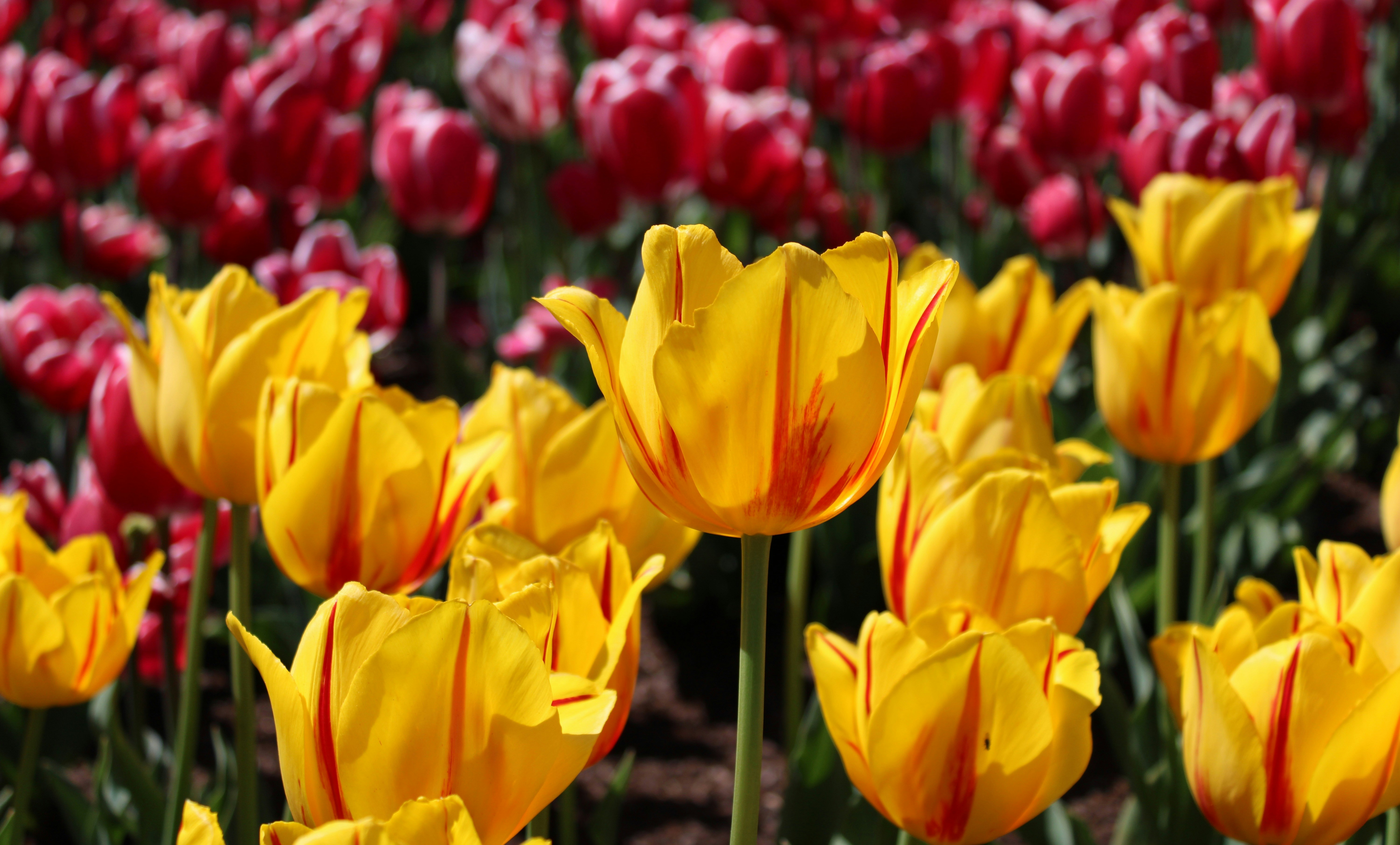 Photo by olivia_hibbins