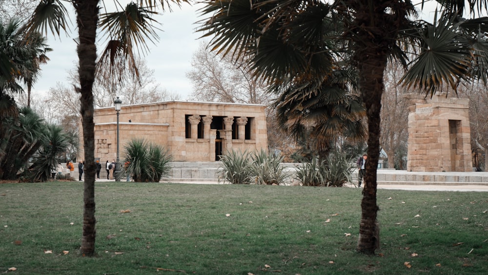 a building with palm trees and grass