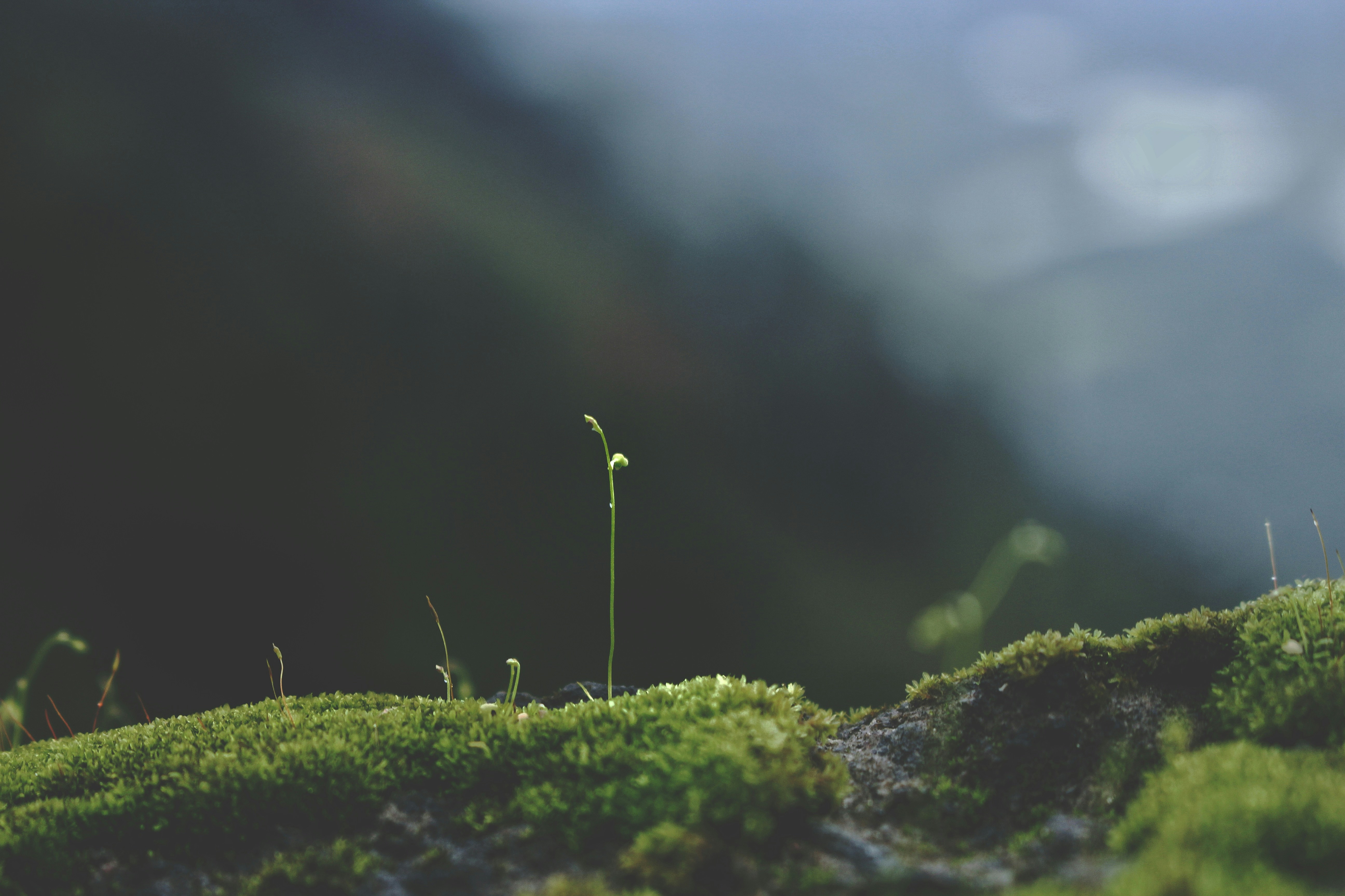 Comment développer l’estime de