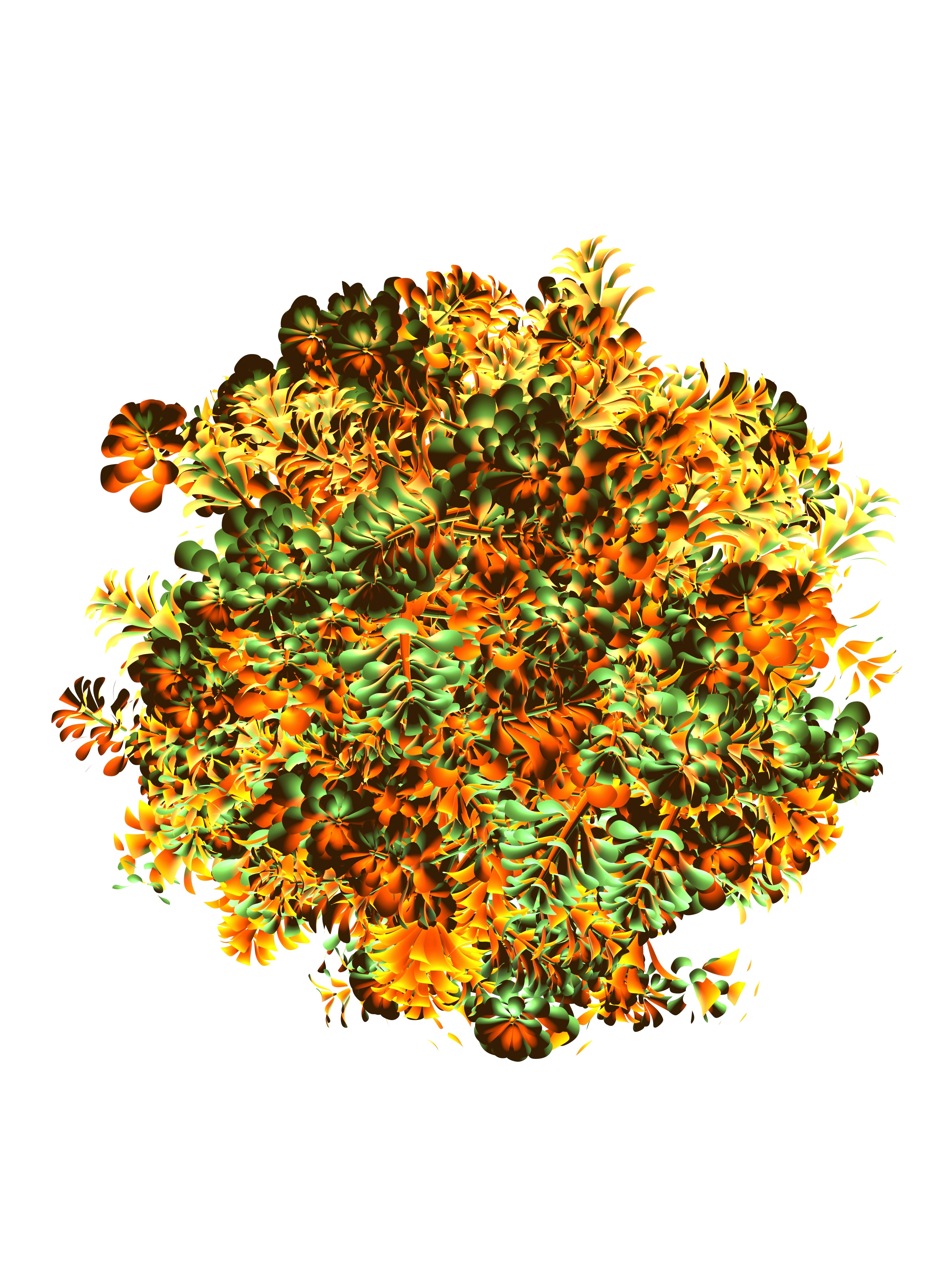 Photo by blenderdesigner