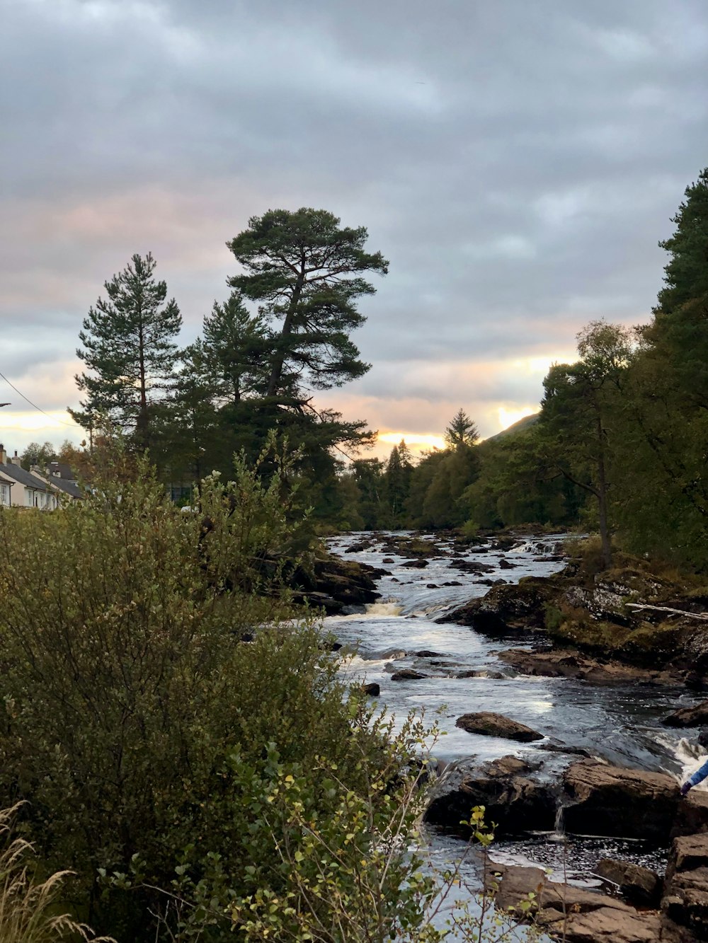 a river with rocks and trees