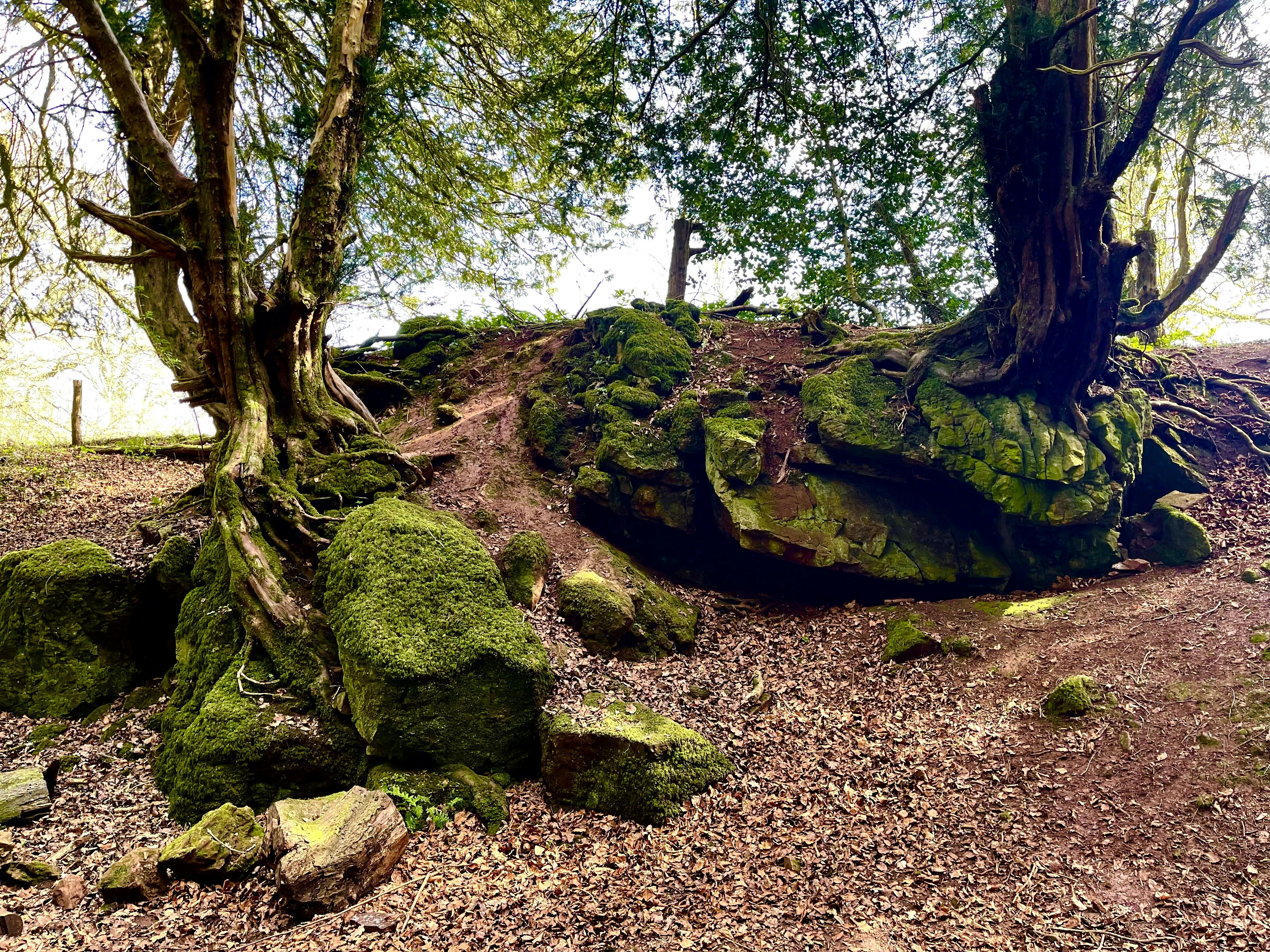 Mossyrock Park