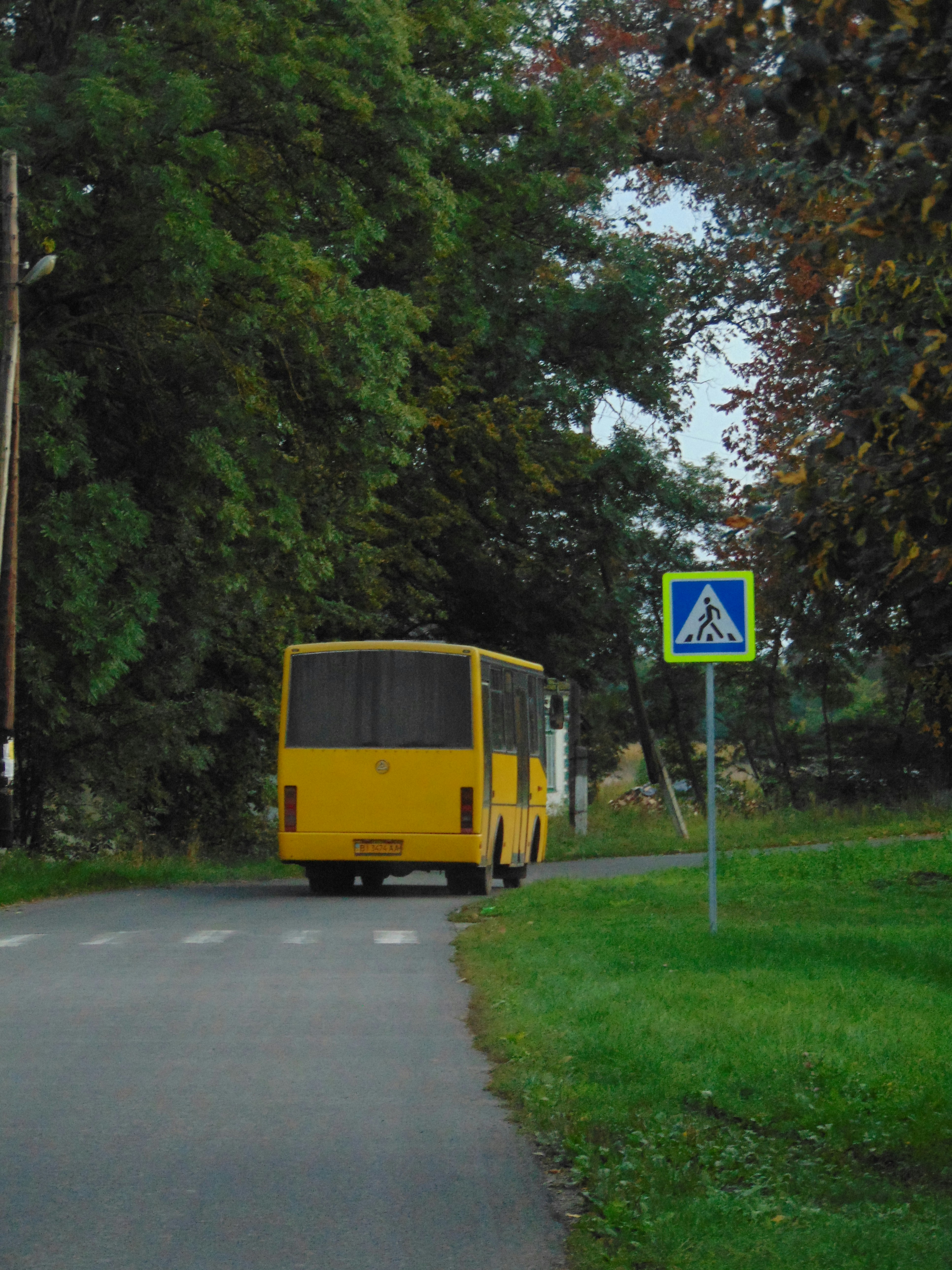a yellow bus on the street