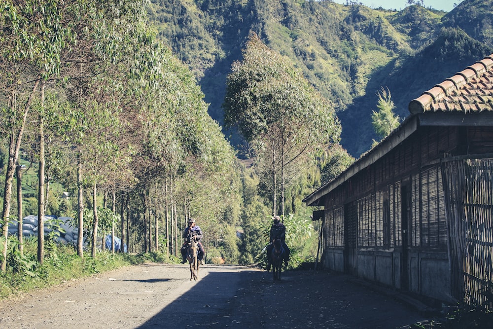 a couple of people ride horses down a dirt road