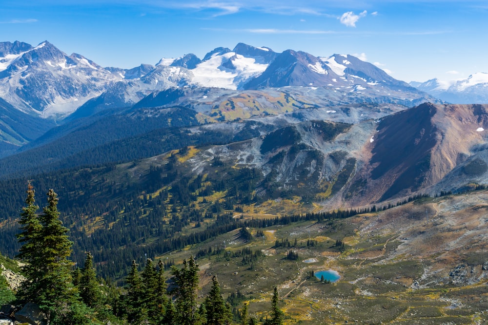 a valley between mountains with trees