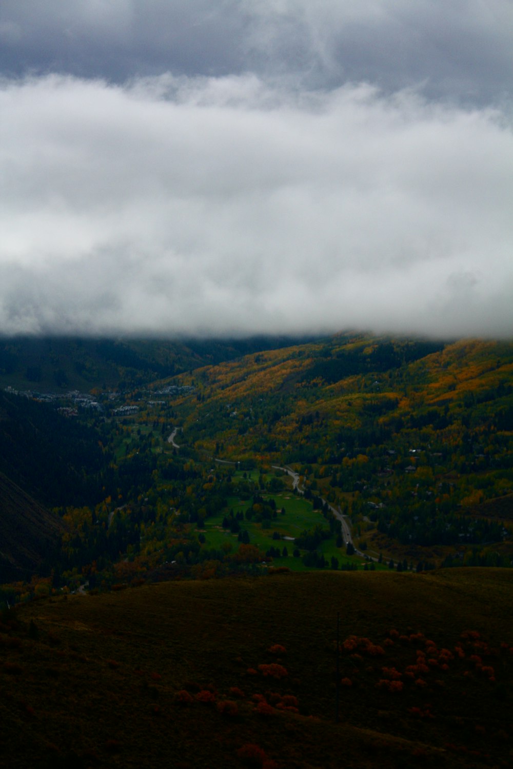 a landscape with hills and trees