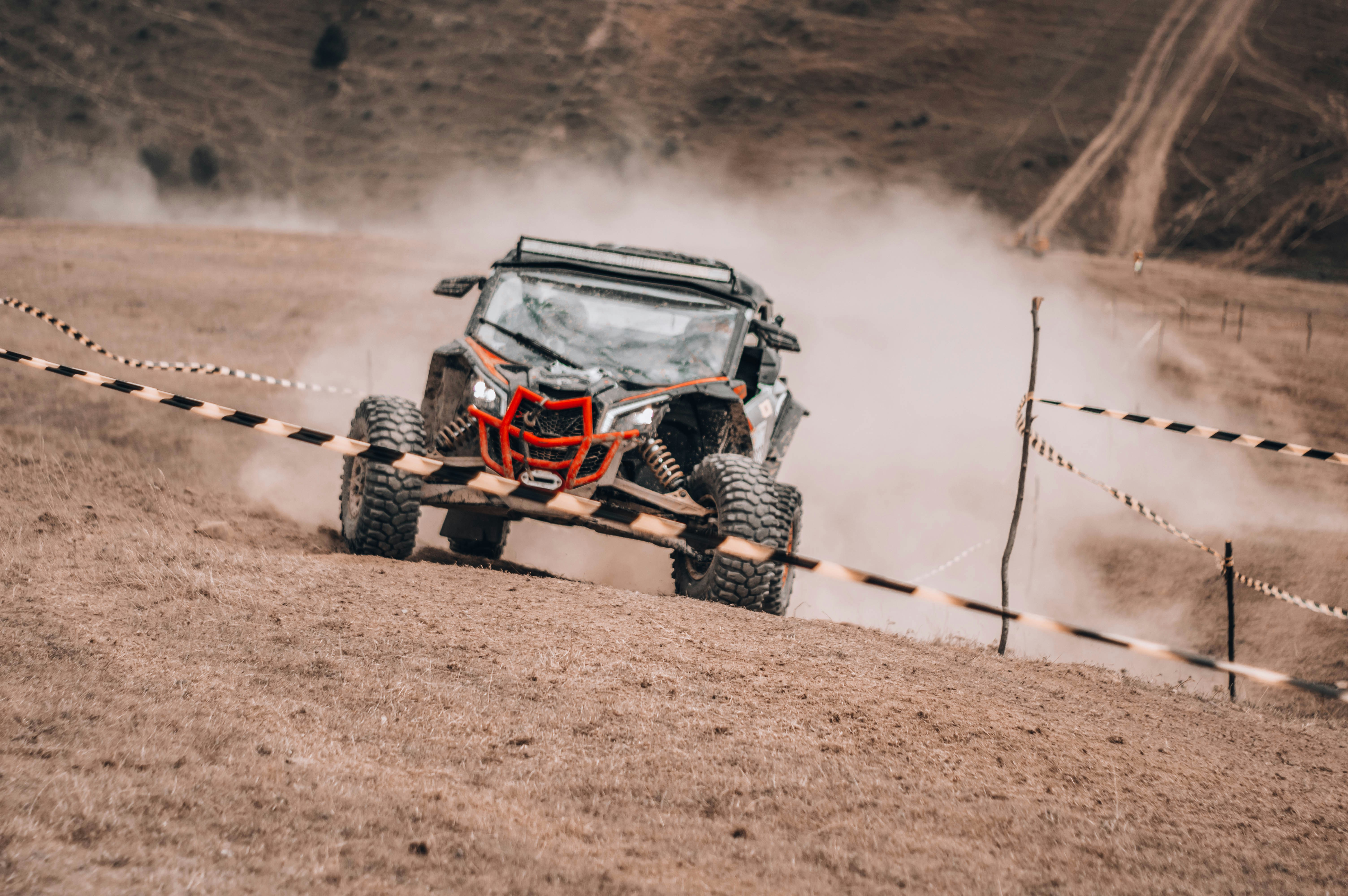 Photo by alex_emanuel20