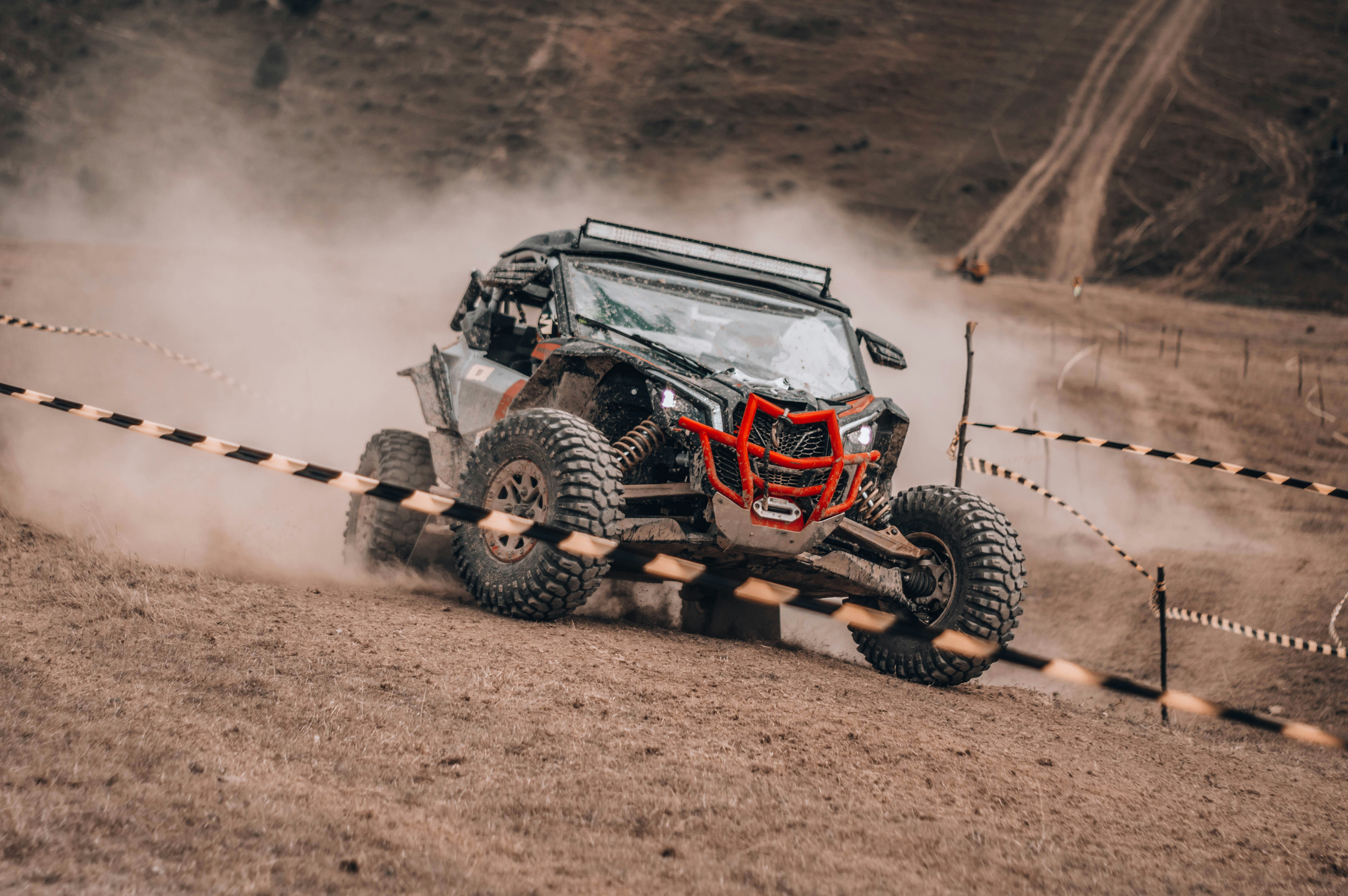 Photo by alex_emanuel20