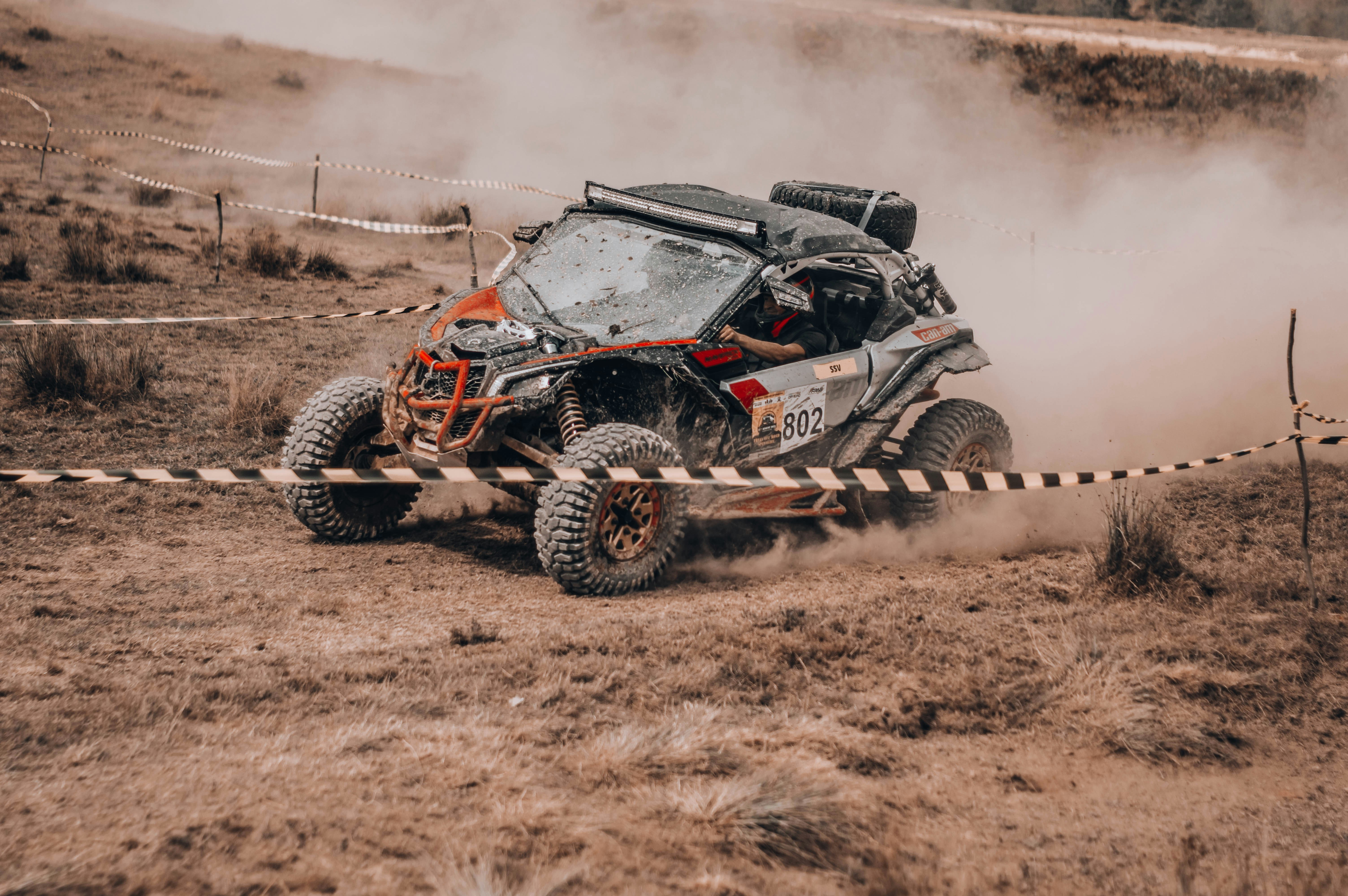 Photo by alex_emanuel20