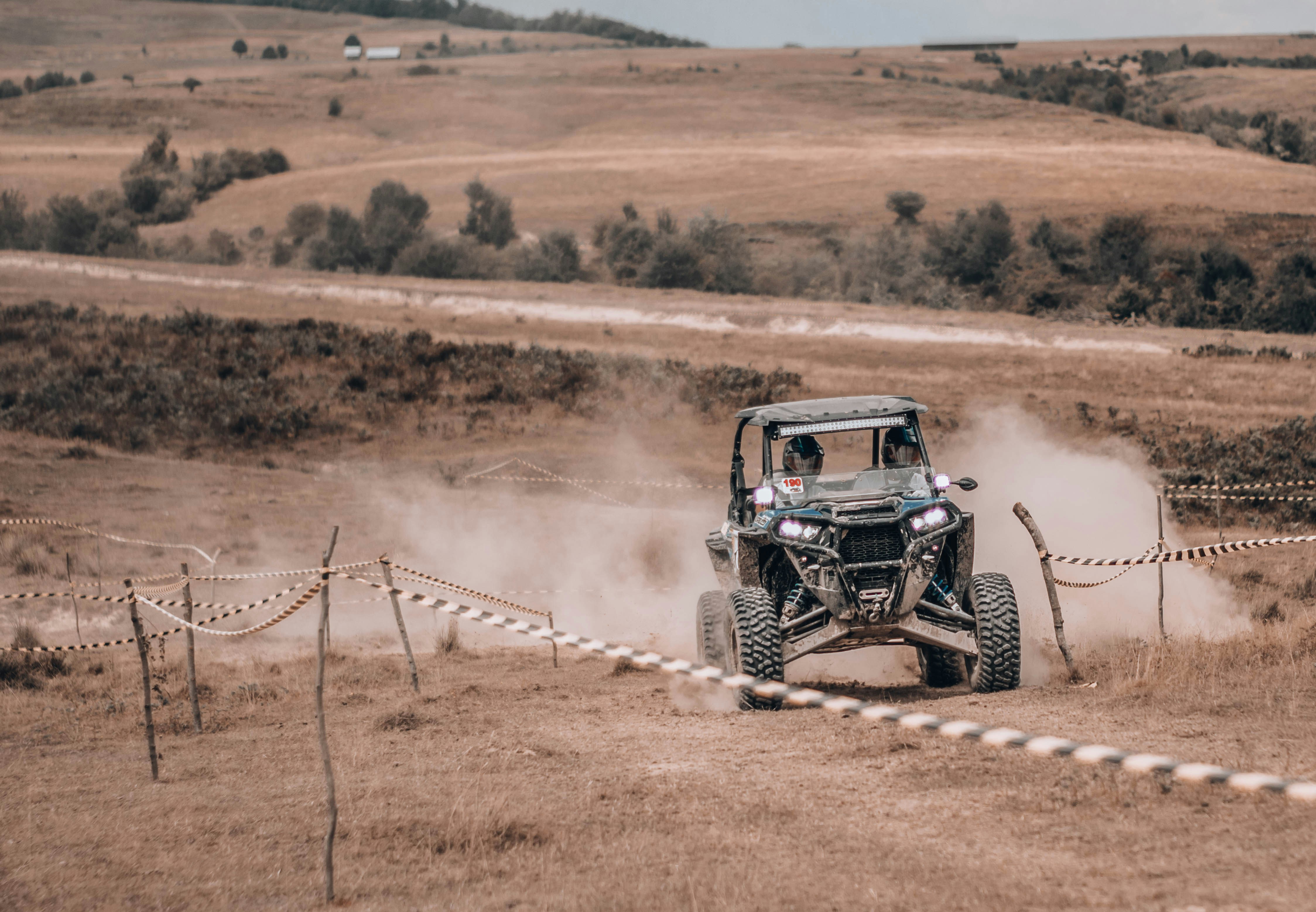 Photo by alex_emanuel20