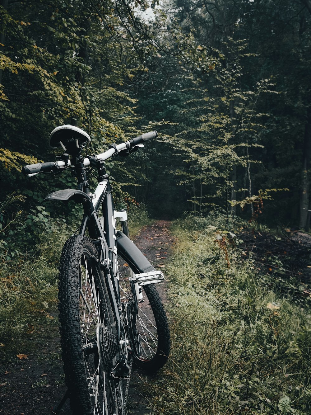 a bicycle parked on a trail in the woods