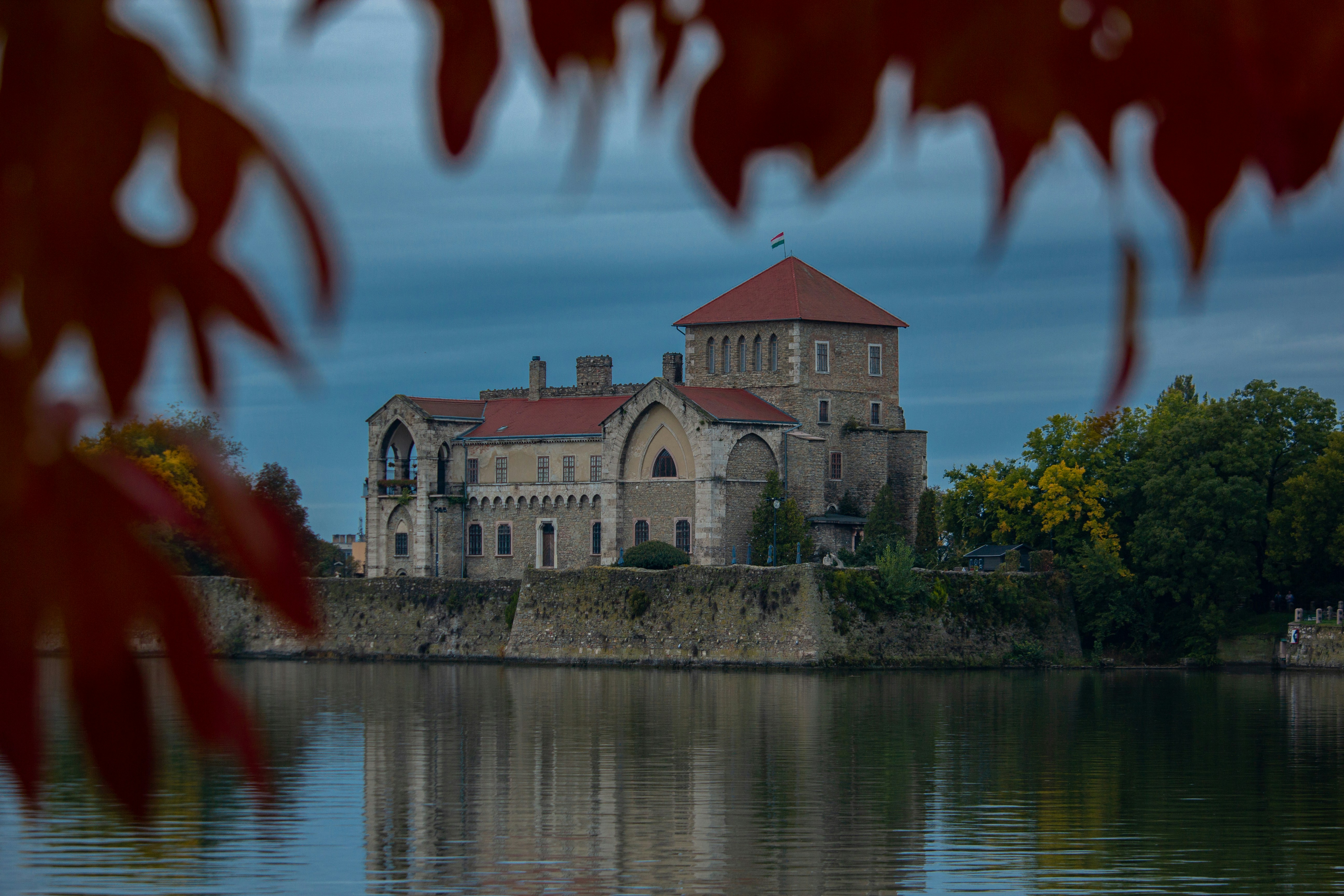 Photo by szrpphotography