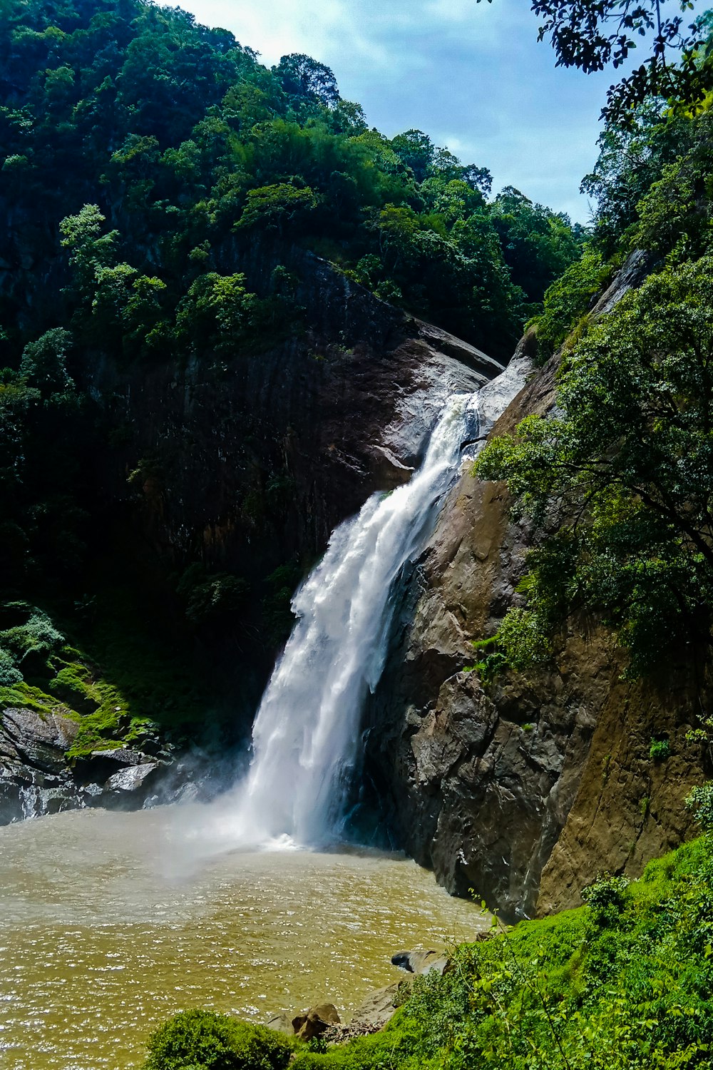 a waterfall in a forest